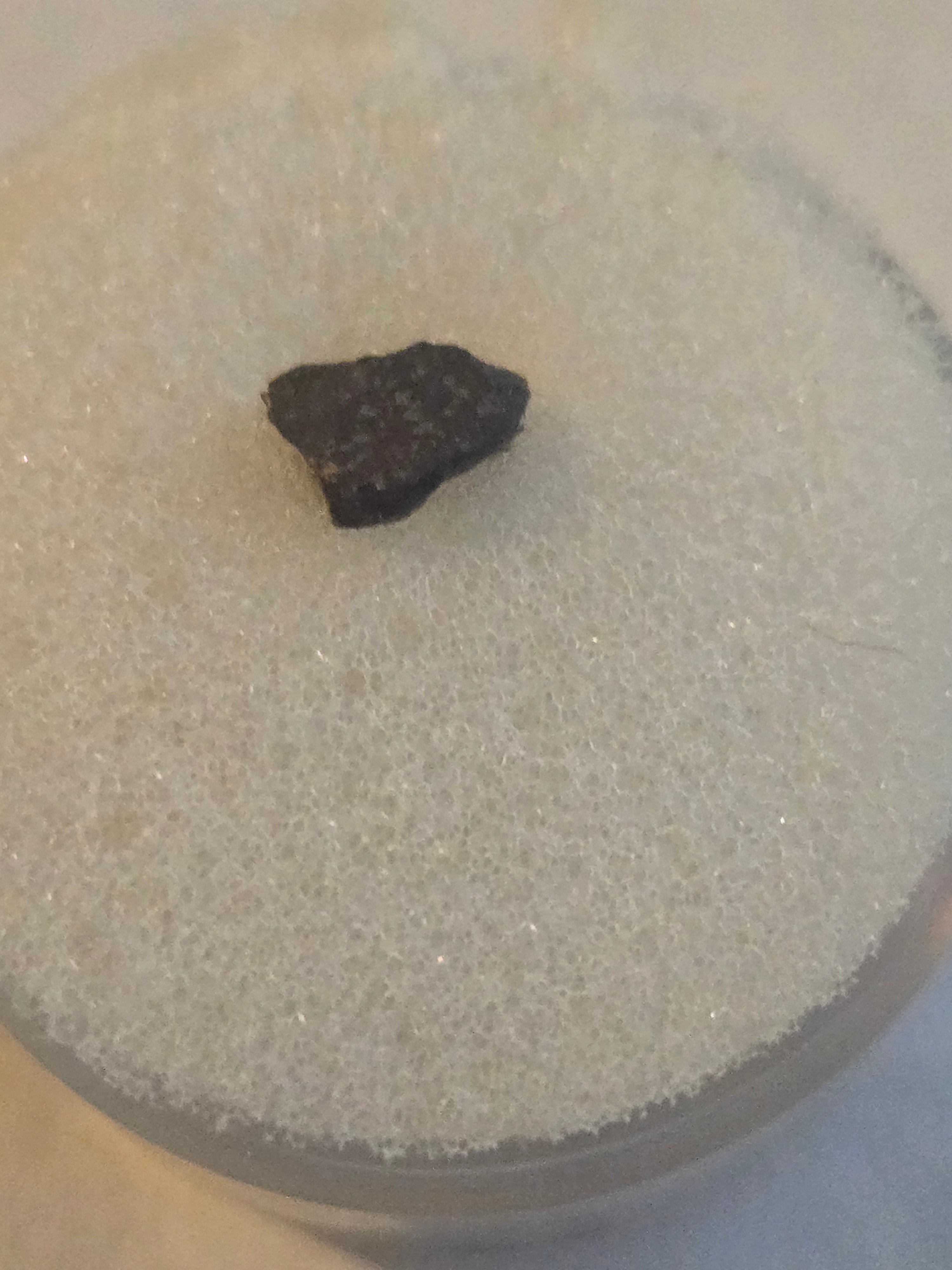 NWA 070 meteorite specimen