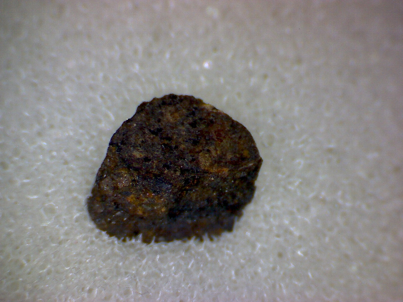 NWA 070 meteorite specimen