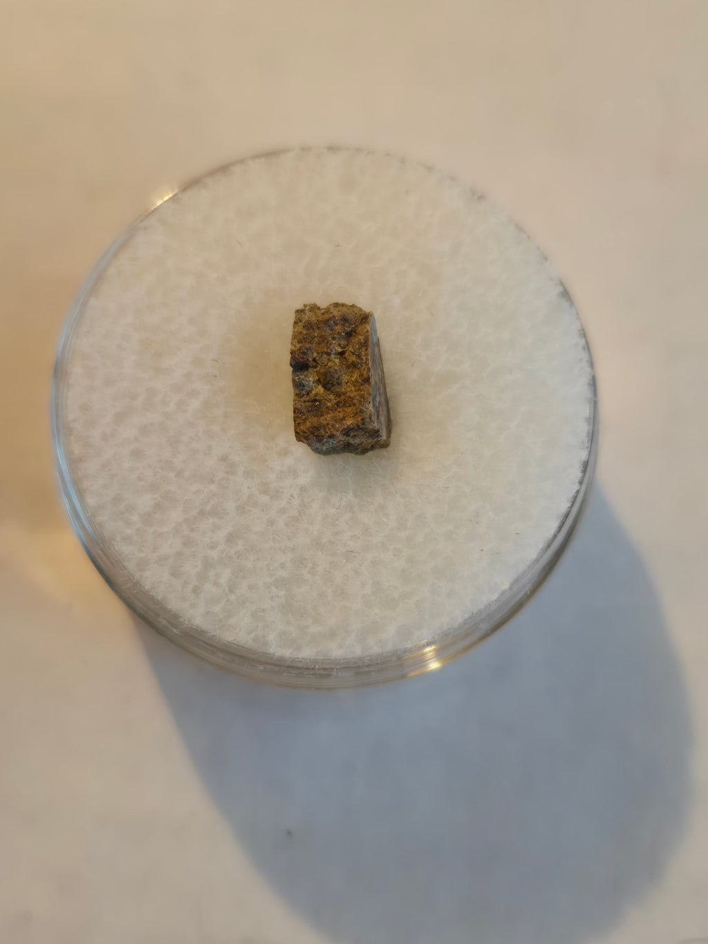 NWA 10063 meteorite