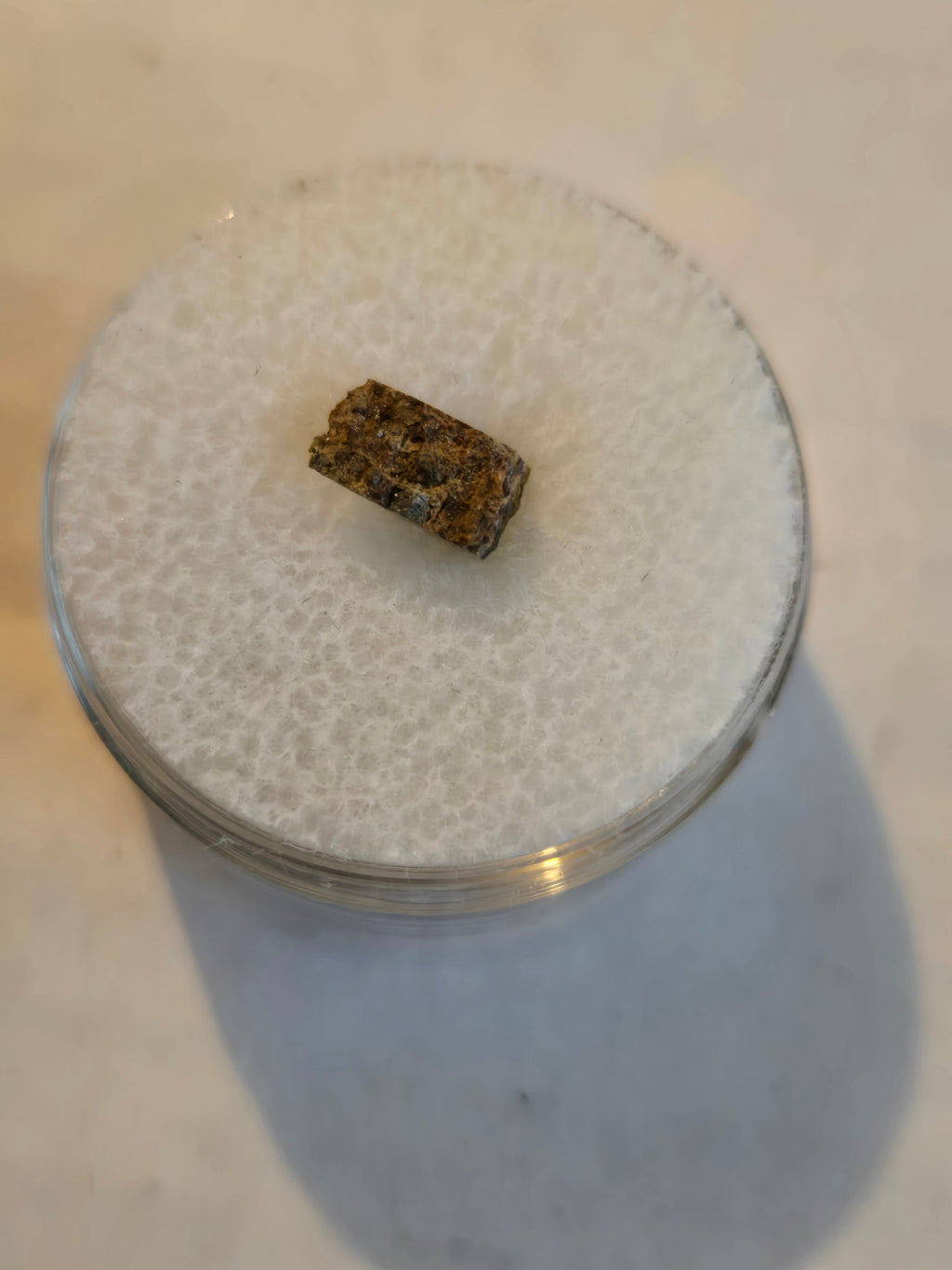 NWA 10063 meteorite