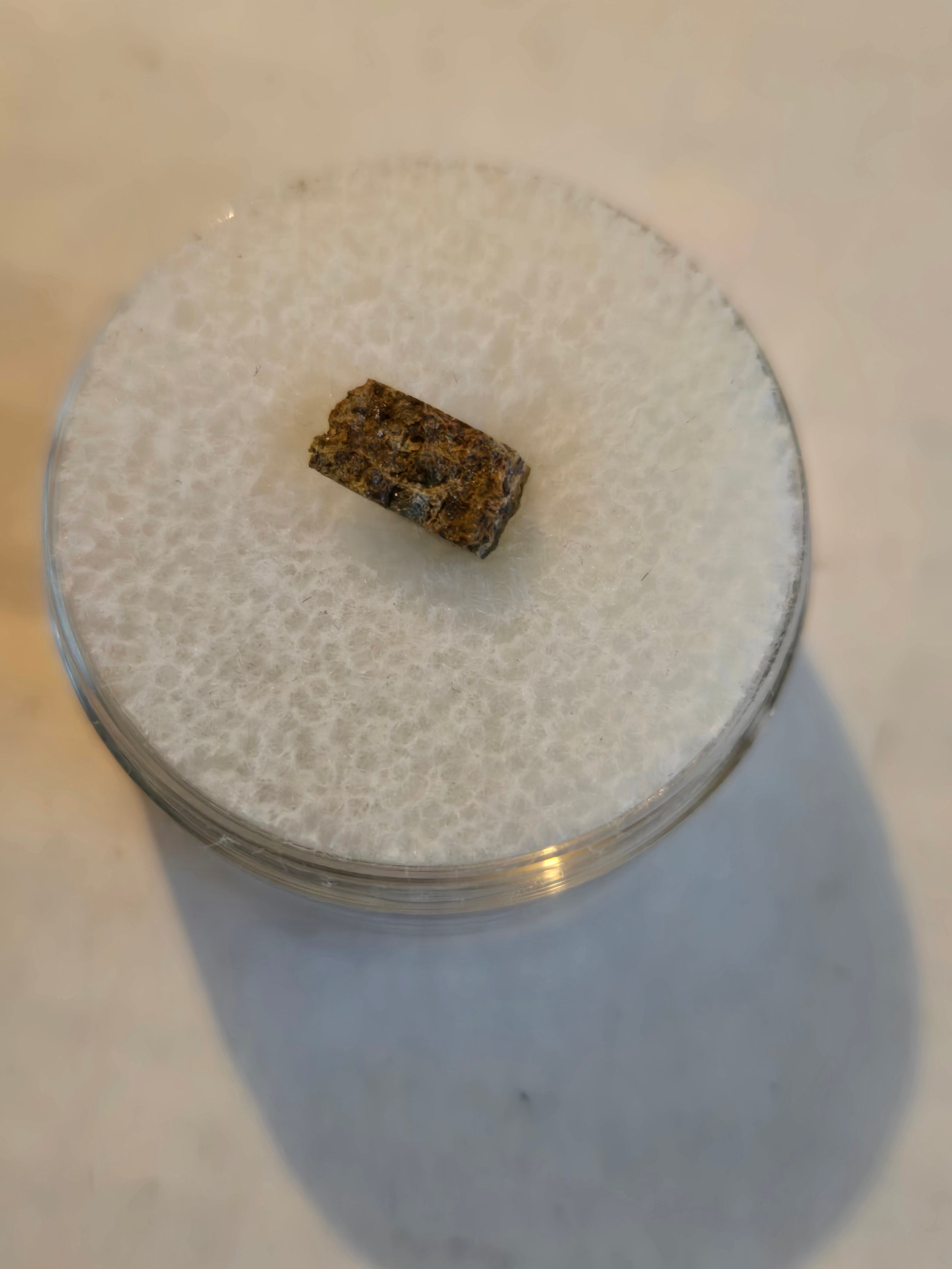 NWA 10063 meteorite