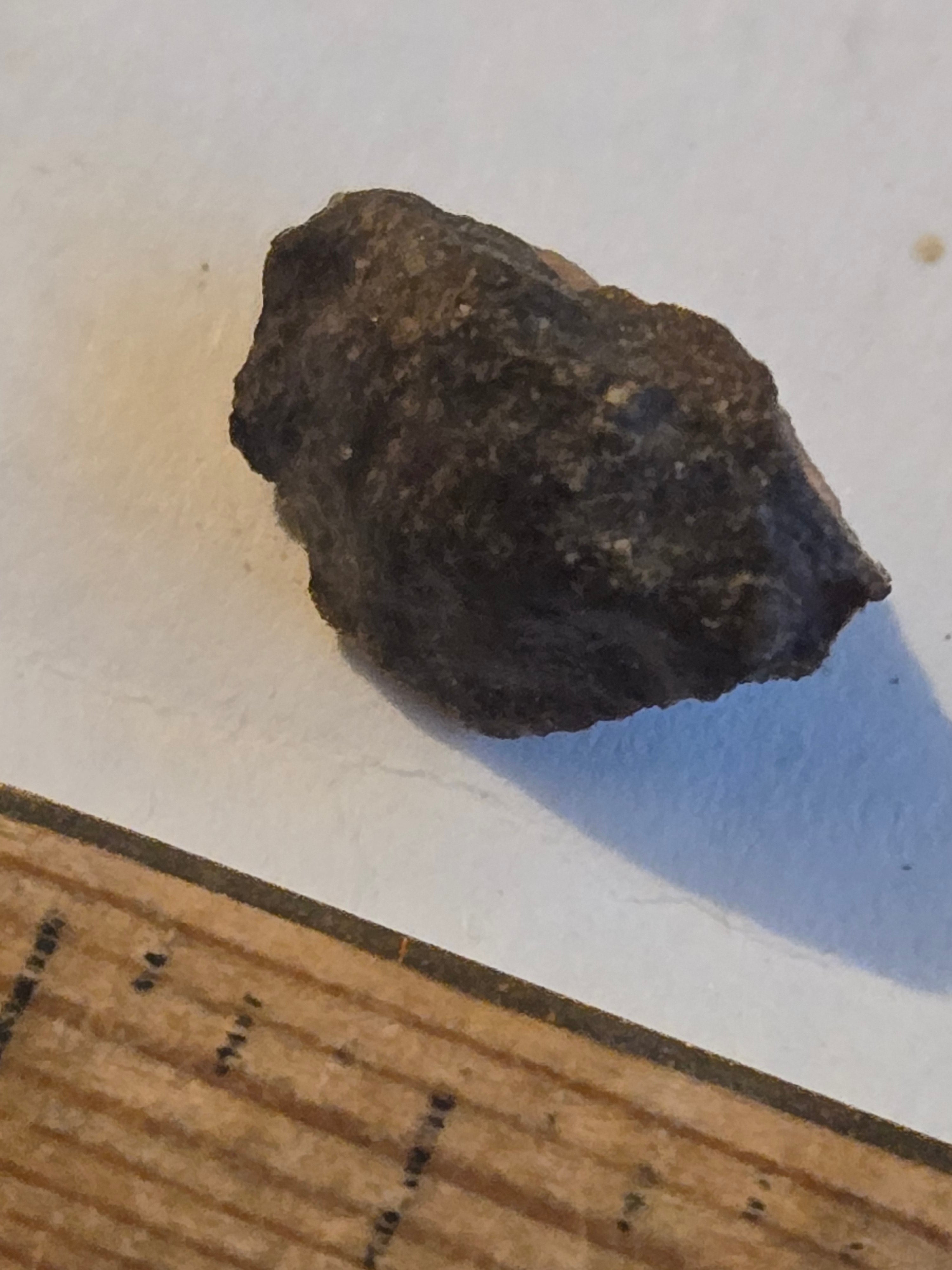 NWA 10436 meteorite