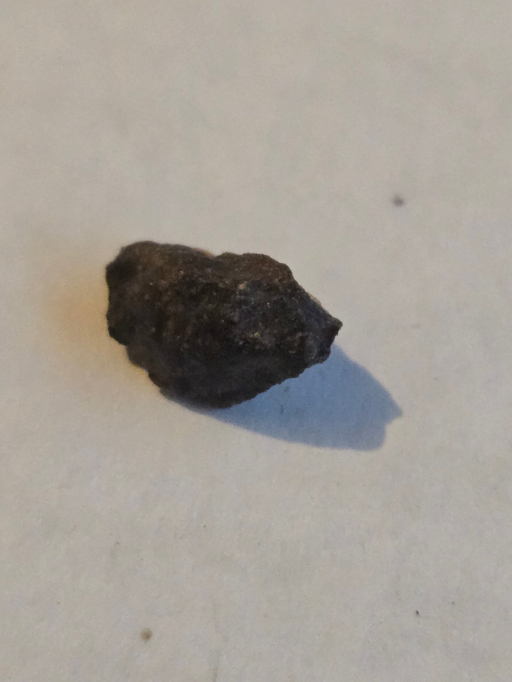 NWA 10436 meteorite