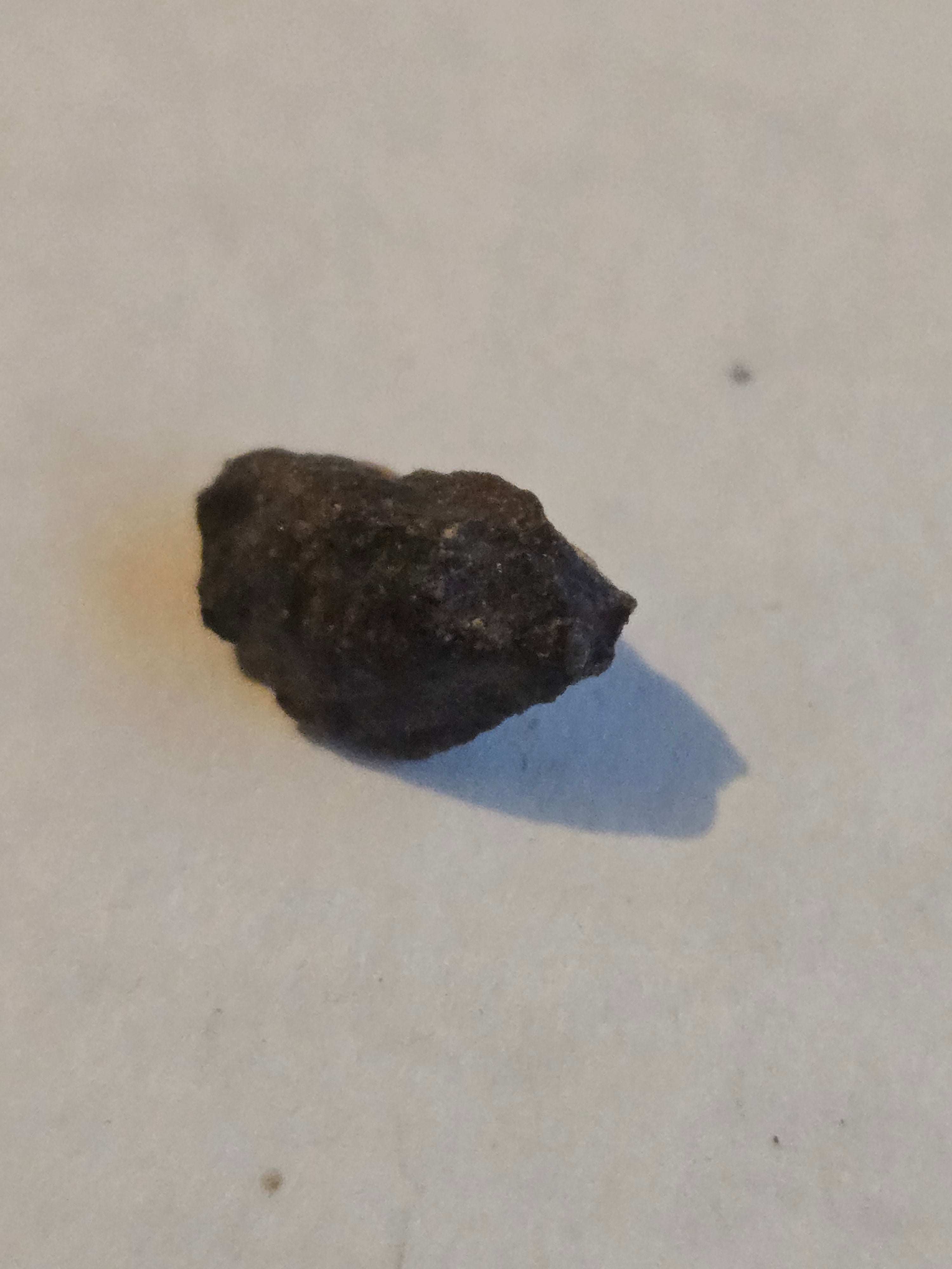 NWA 10436 meteorite