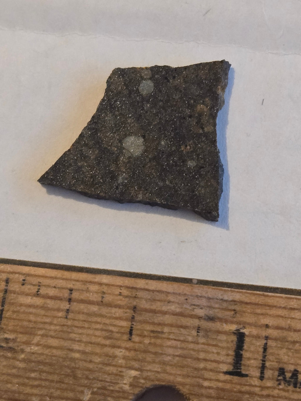 NWA 10442 meteorite