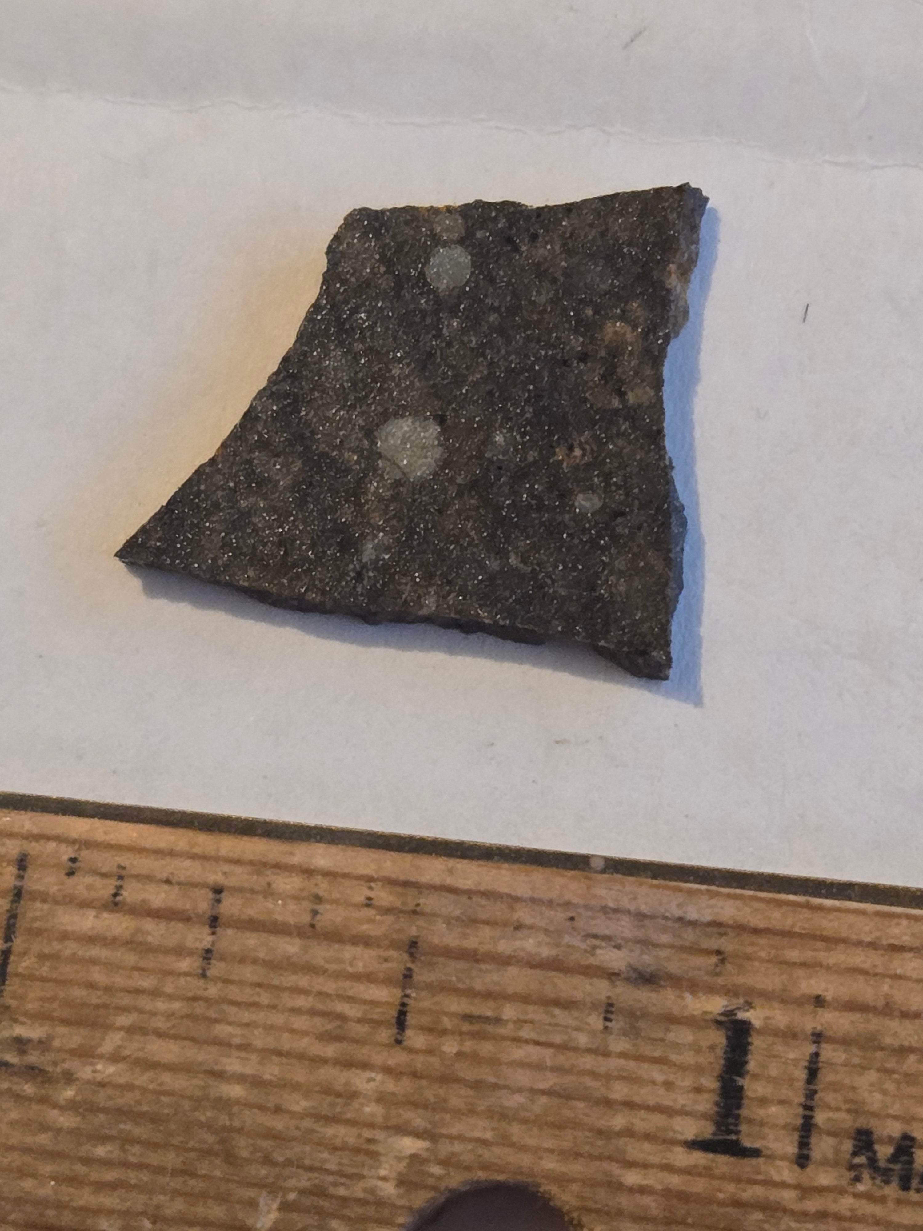 NWA 10442 meteorite