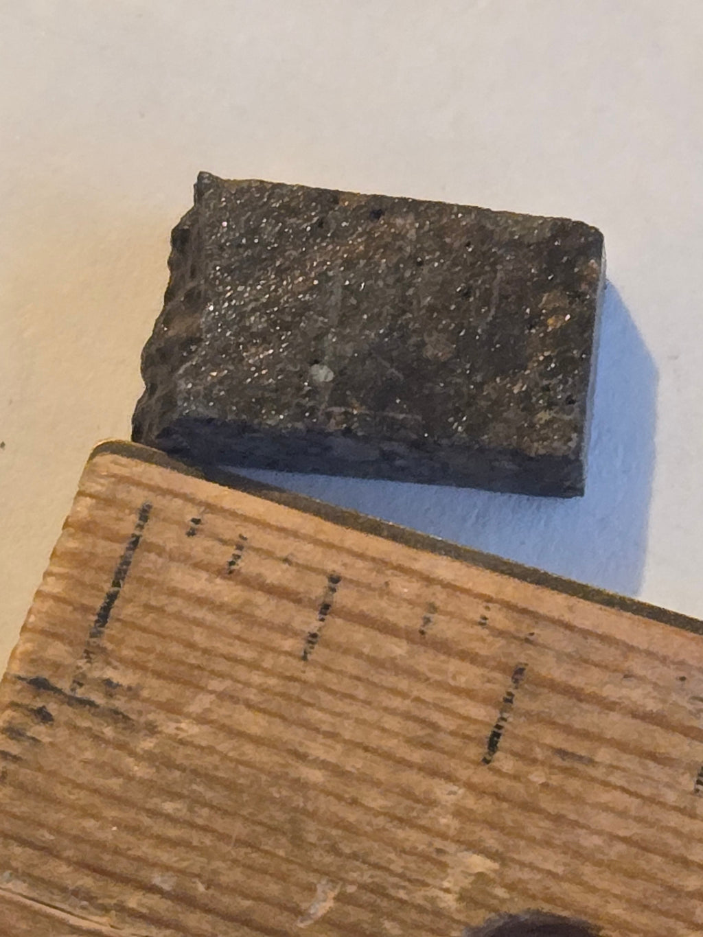 NWA 10442 meteorite