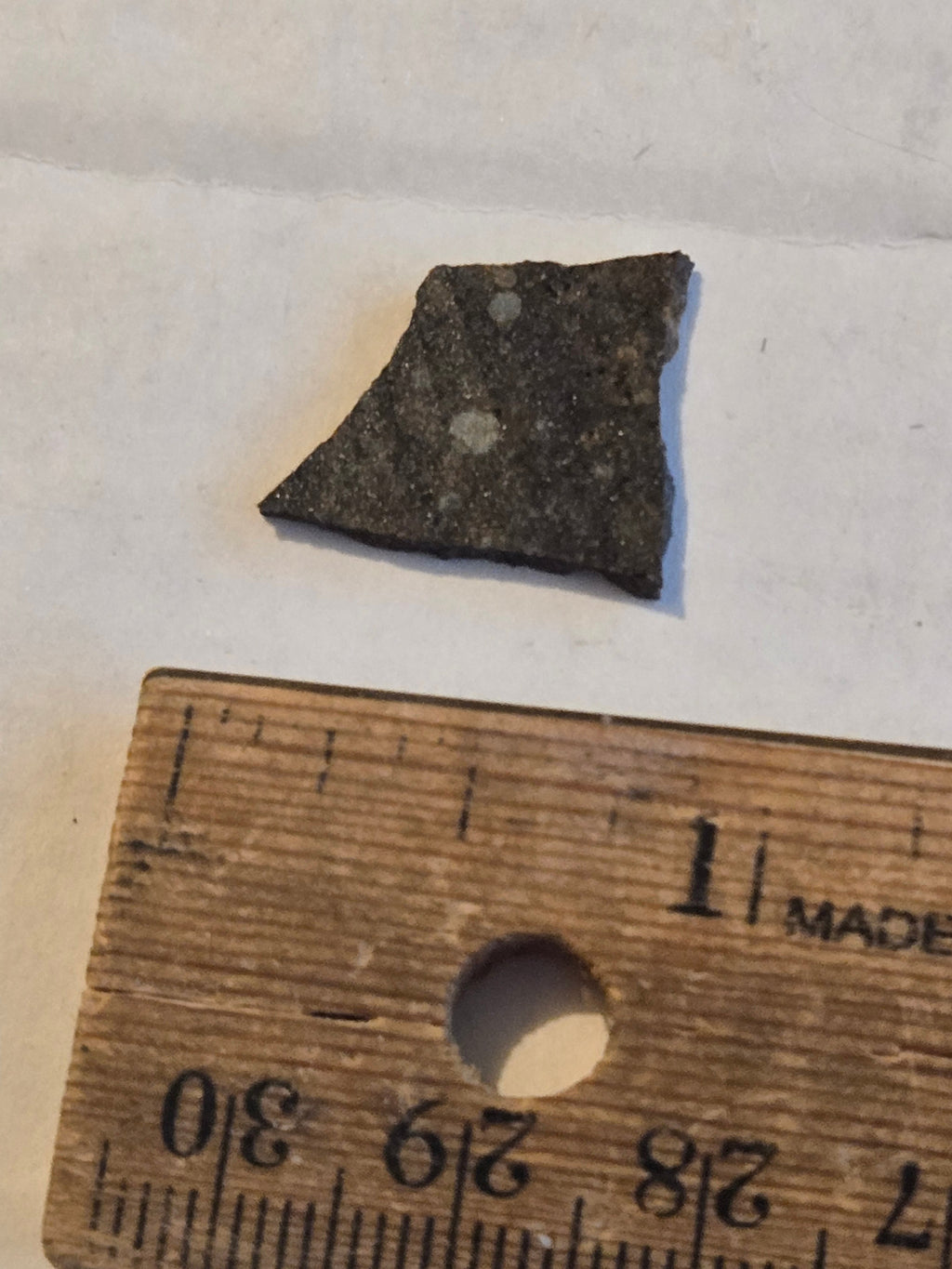 NWA 10442 meteorite