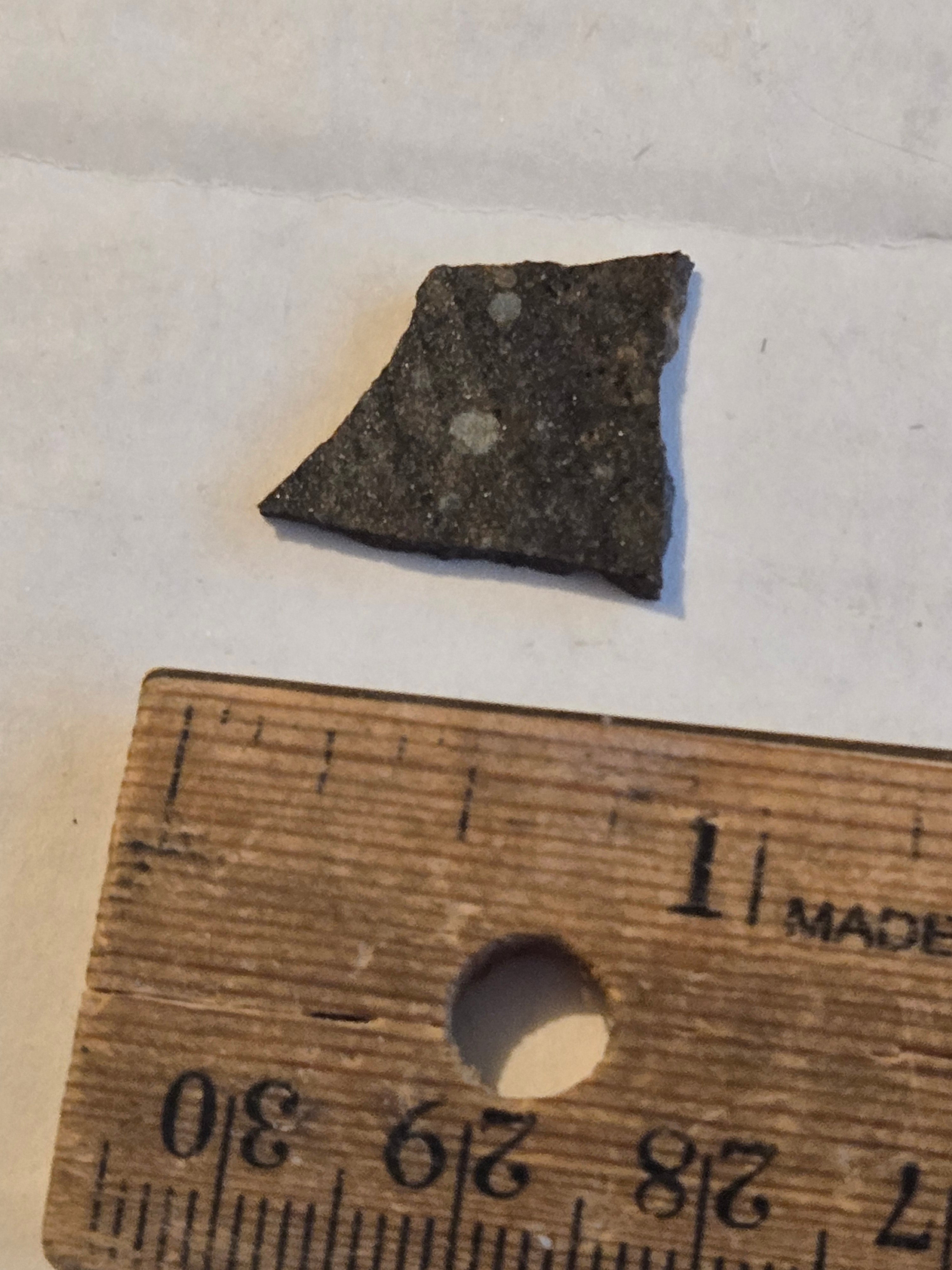 NWA 10442 meteorite