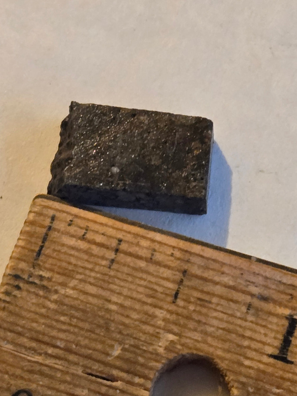 NWA 10442 meteorite