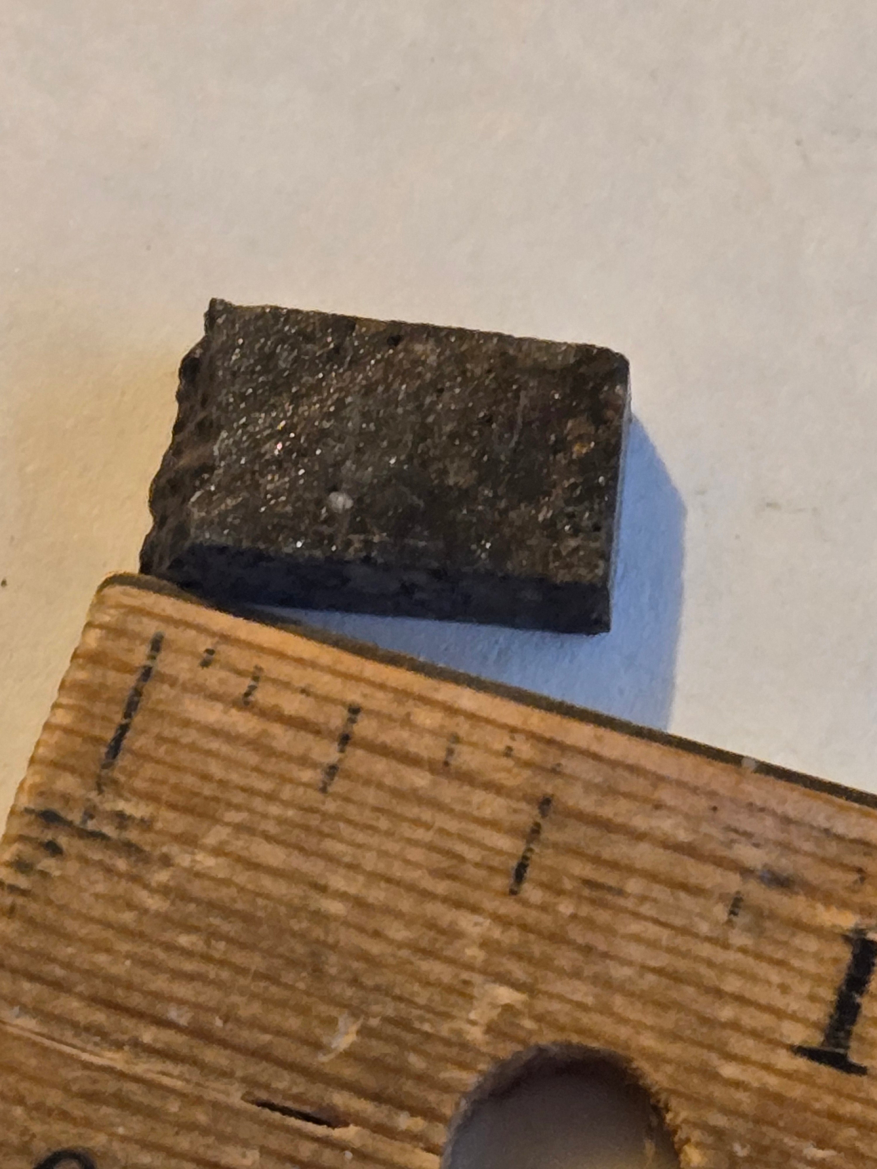 NWA 10442 meteorite