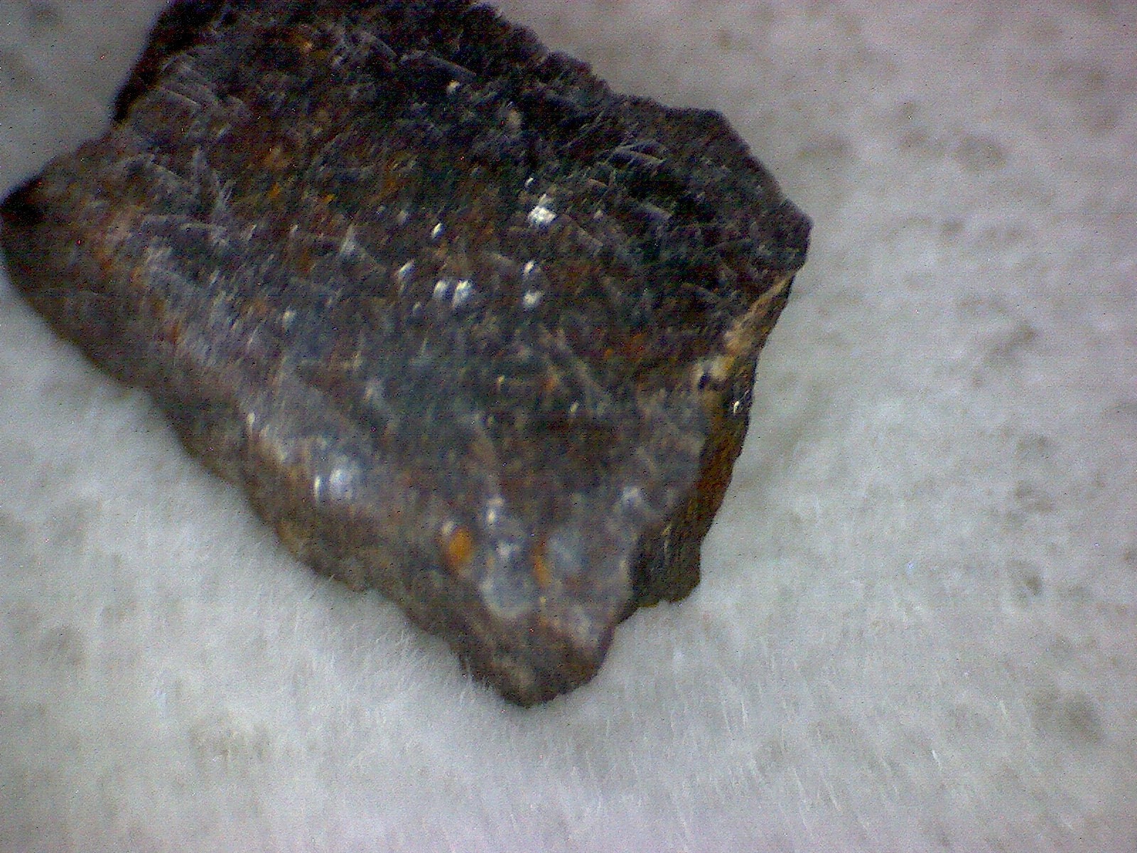NWA 10805 Meteorite Specimen