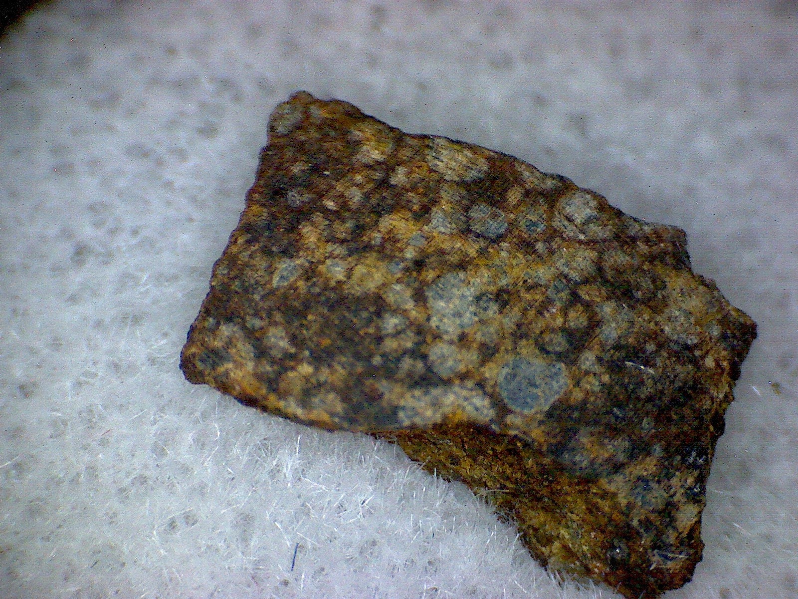 NWA 10809 Meteorite Specimen