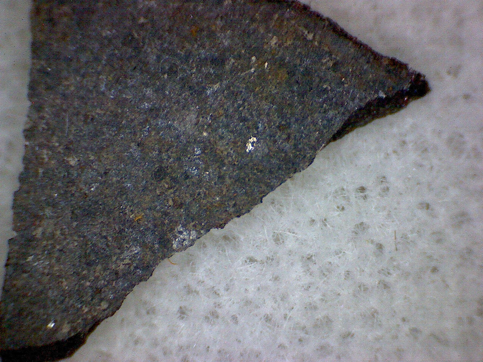 NWA 10833 meteorite specimen