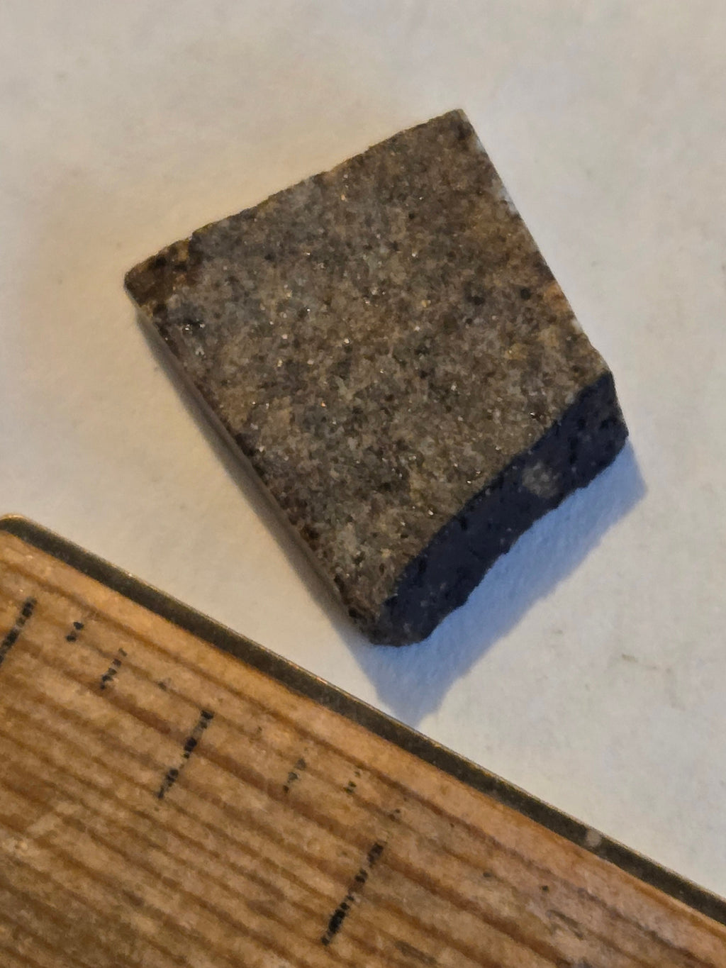 NWA 11001 meteorite