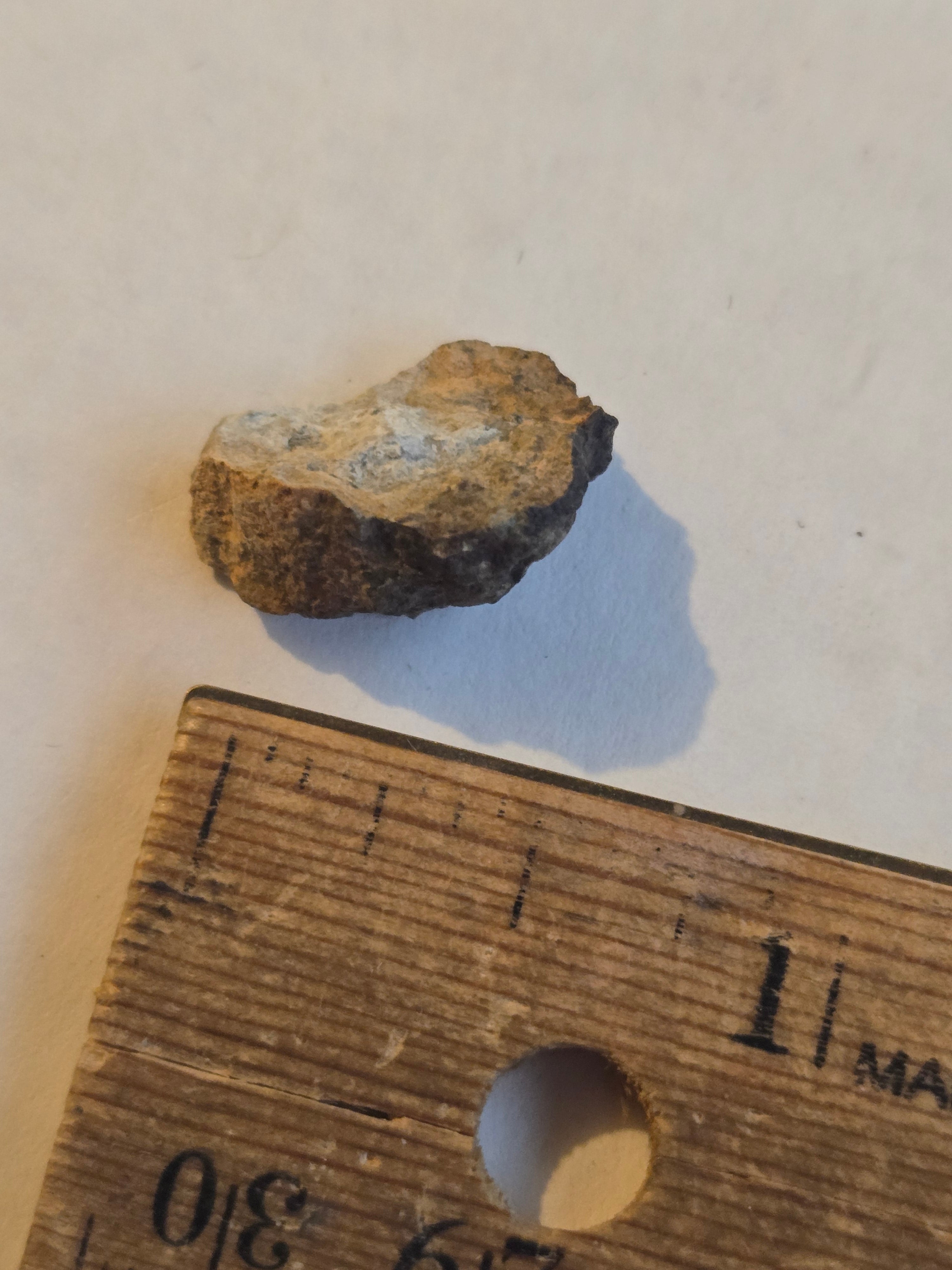 NWA 11201 meteorite