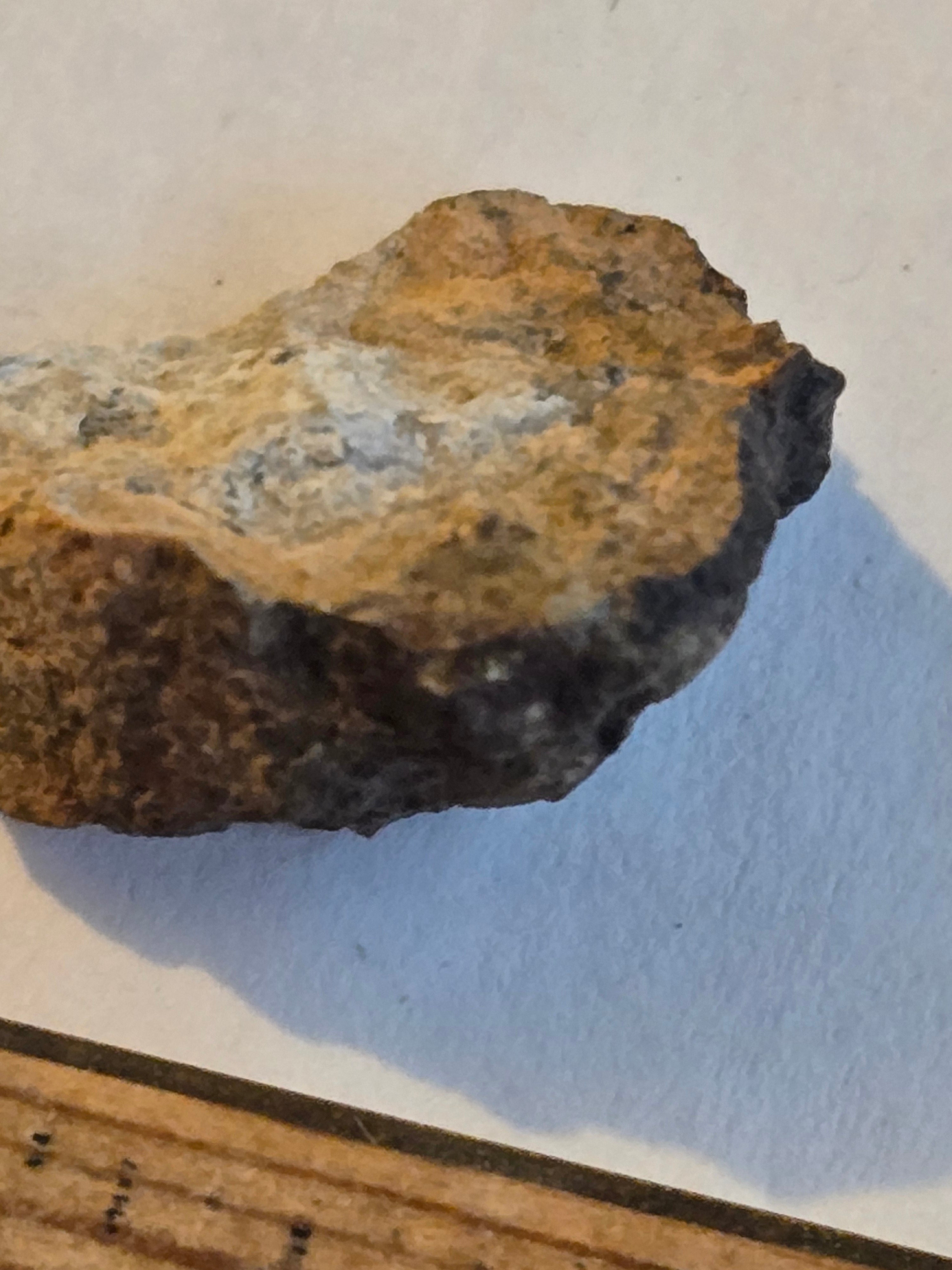 NWA 11201 meteorite