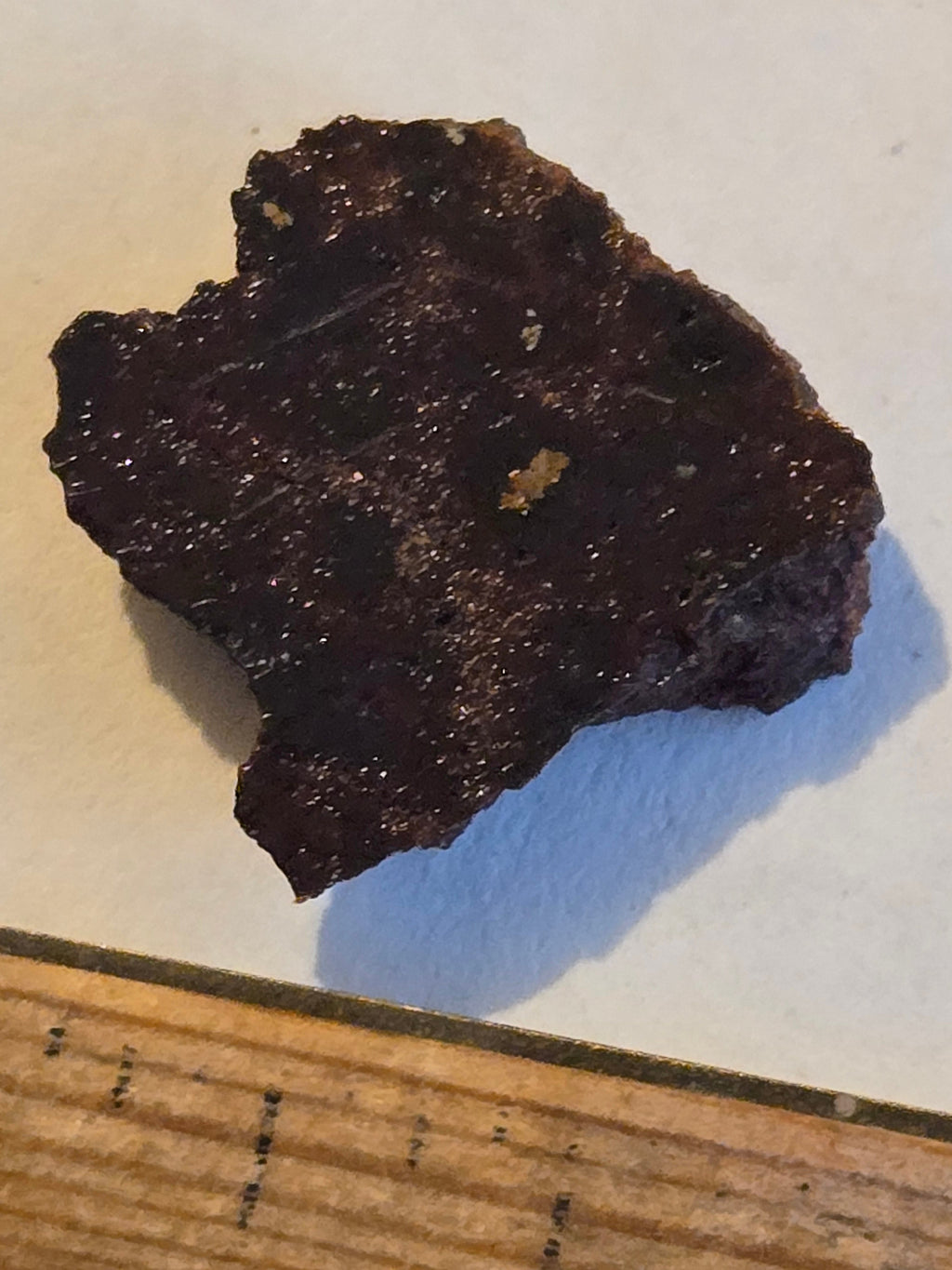 NWA 11206 meteorite