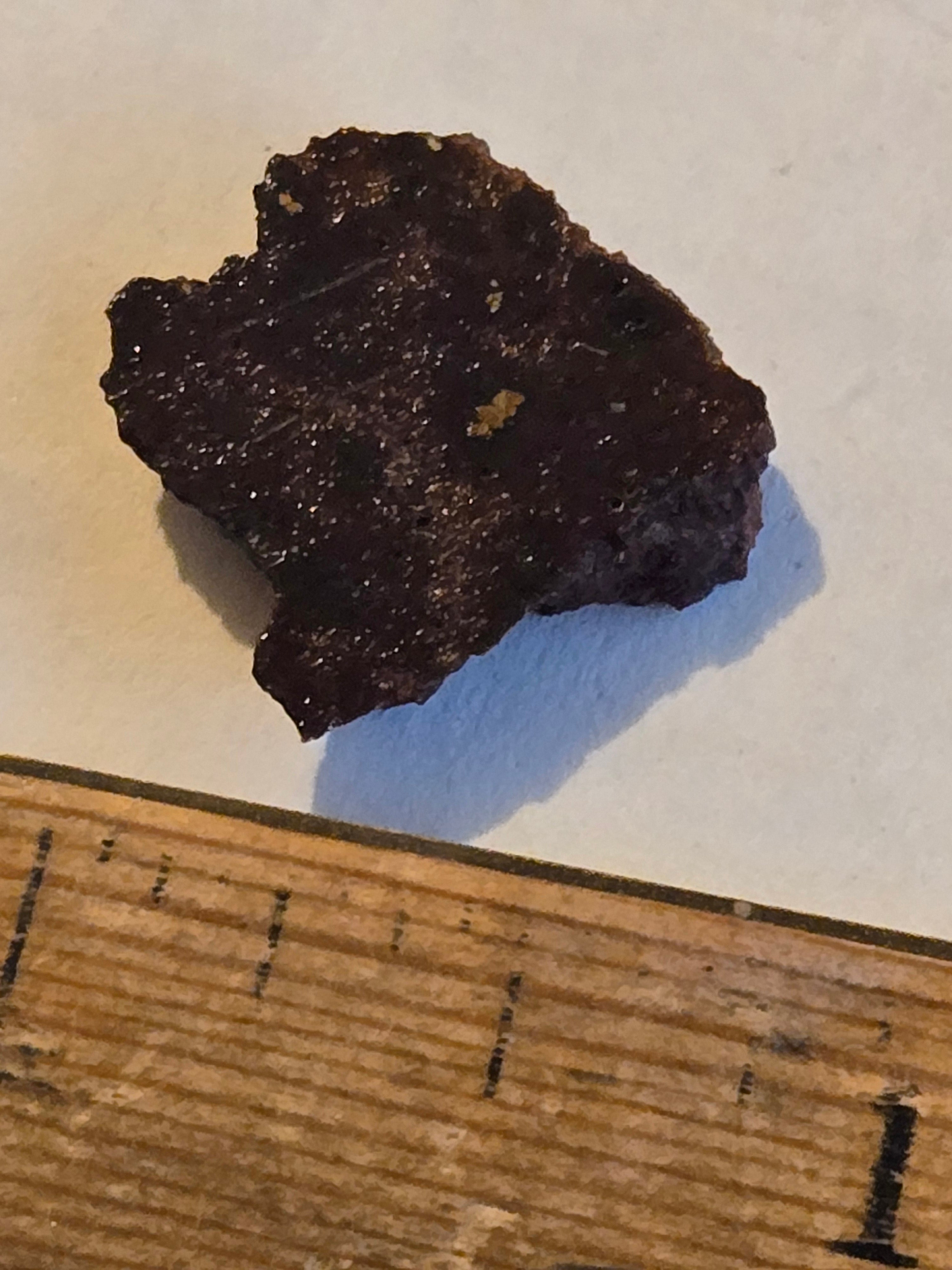 NWA 11206 meteorite