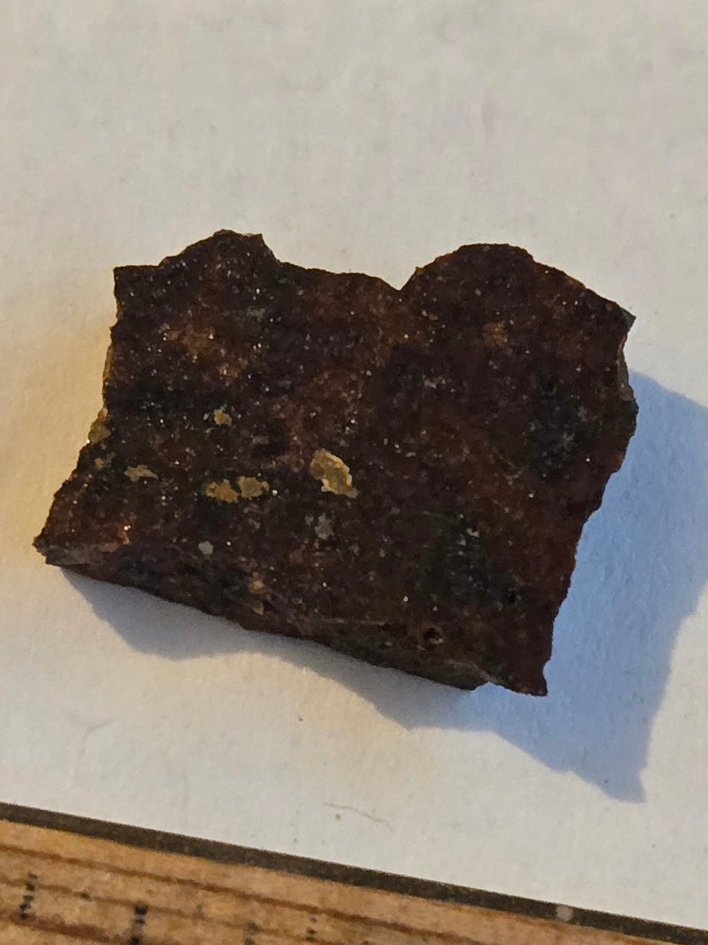 NWA 11206 meteorite