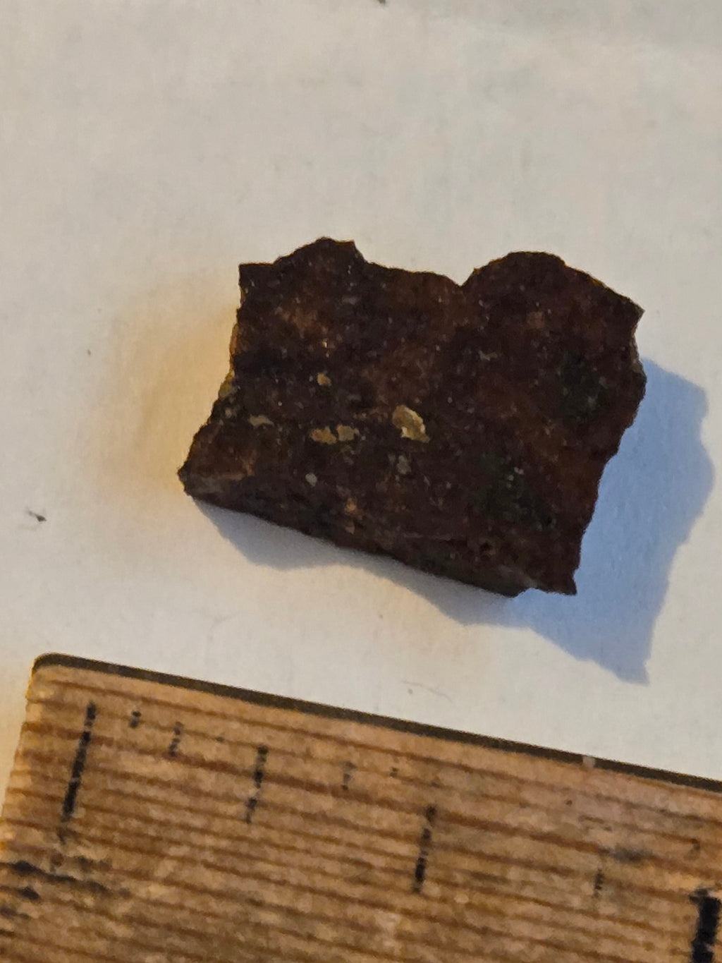NWA 11206 meteorite