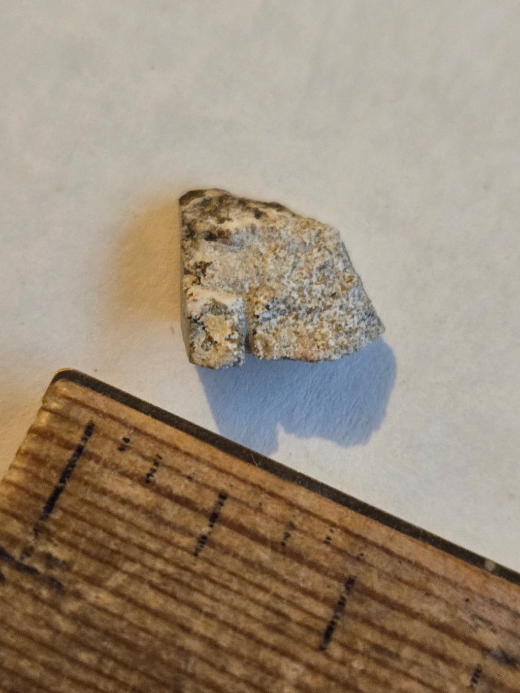 NWA 12338 meteorite
