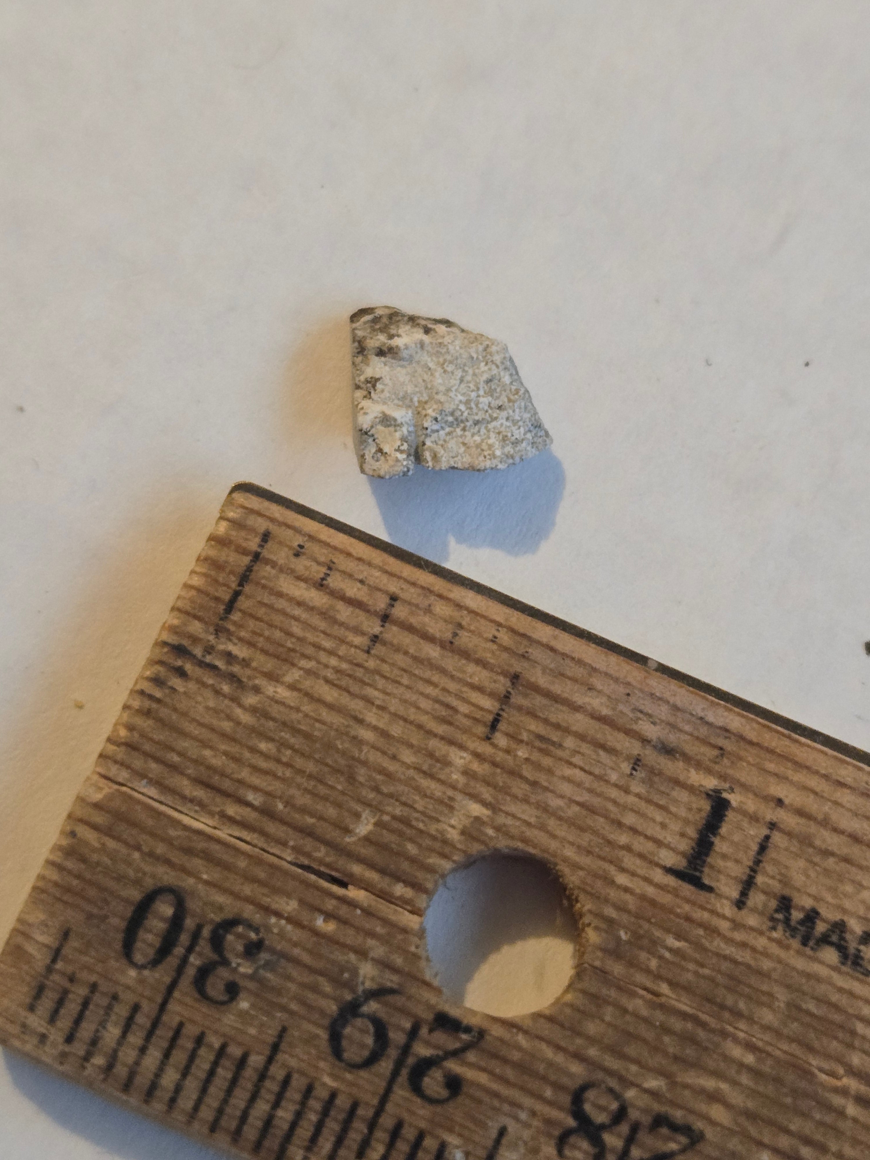 NWA 12338 meteorite
