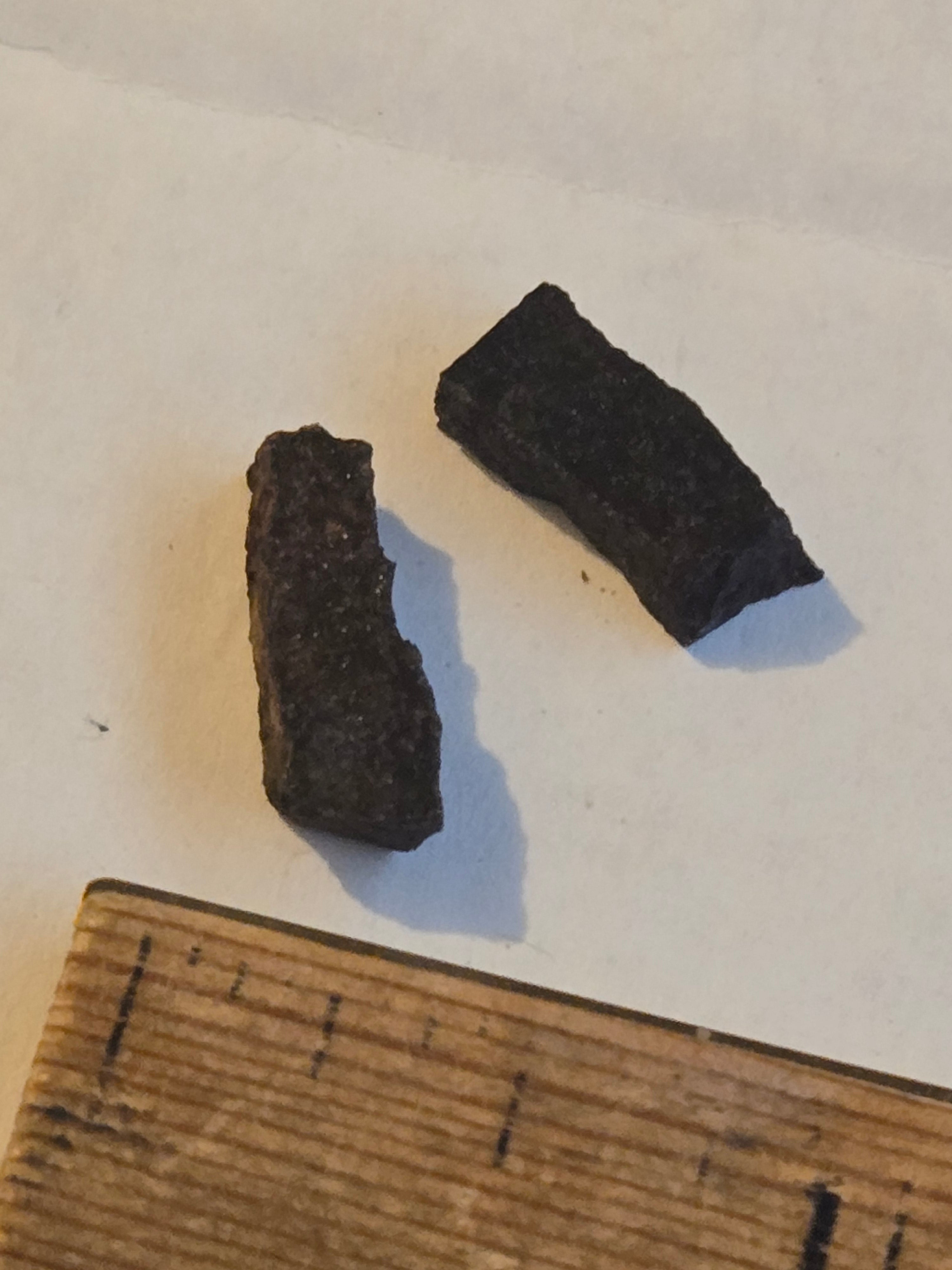 NWA 12353 meteorite
