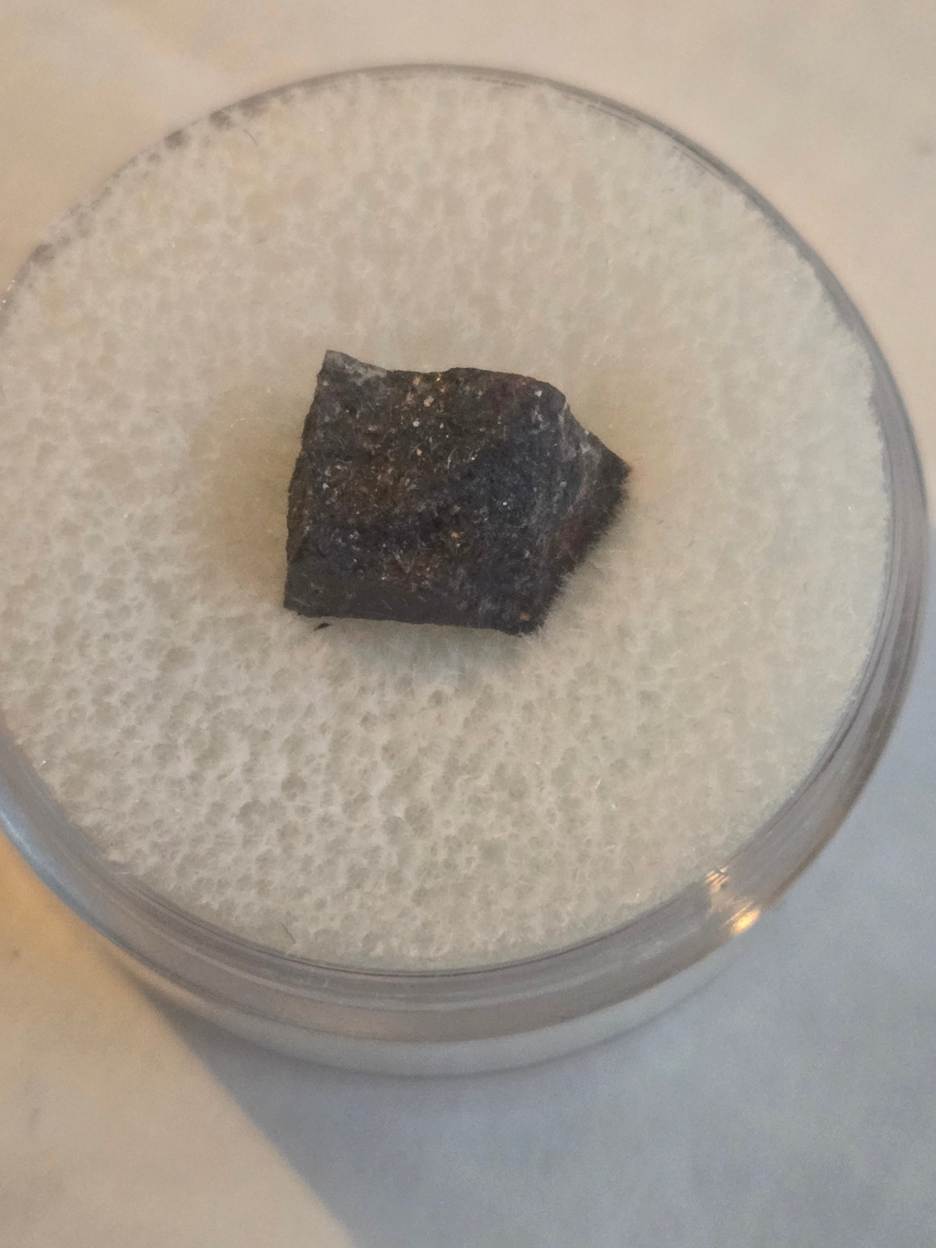 NWA 1274 meteorite