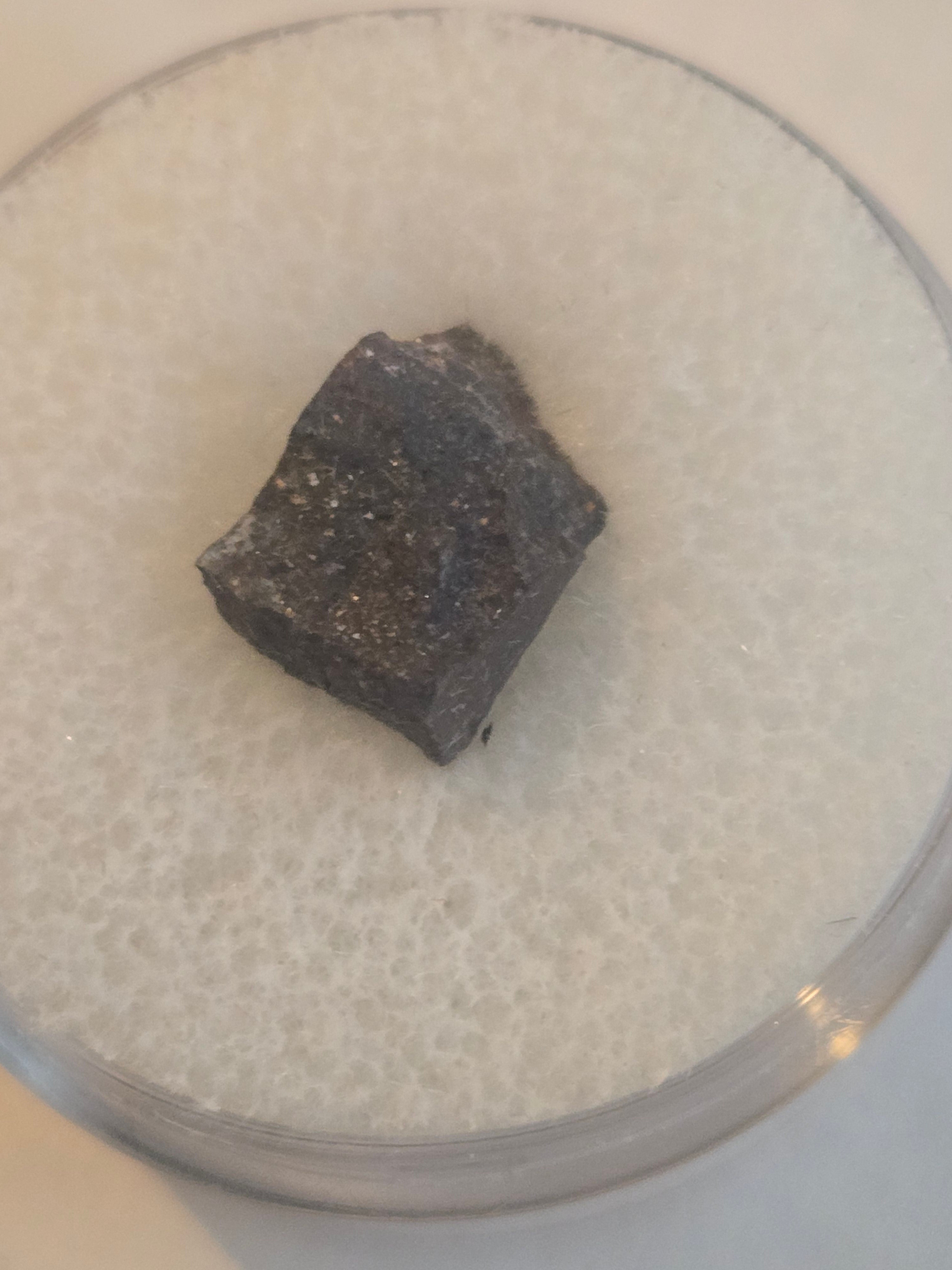 NWA 1274 meteorite