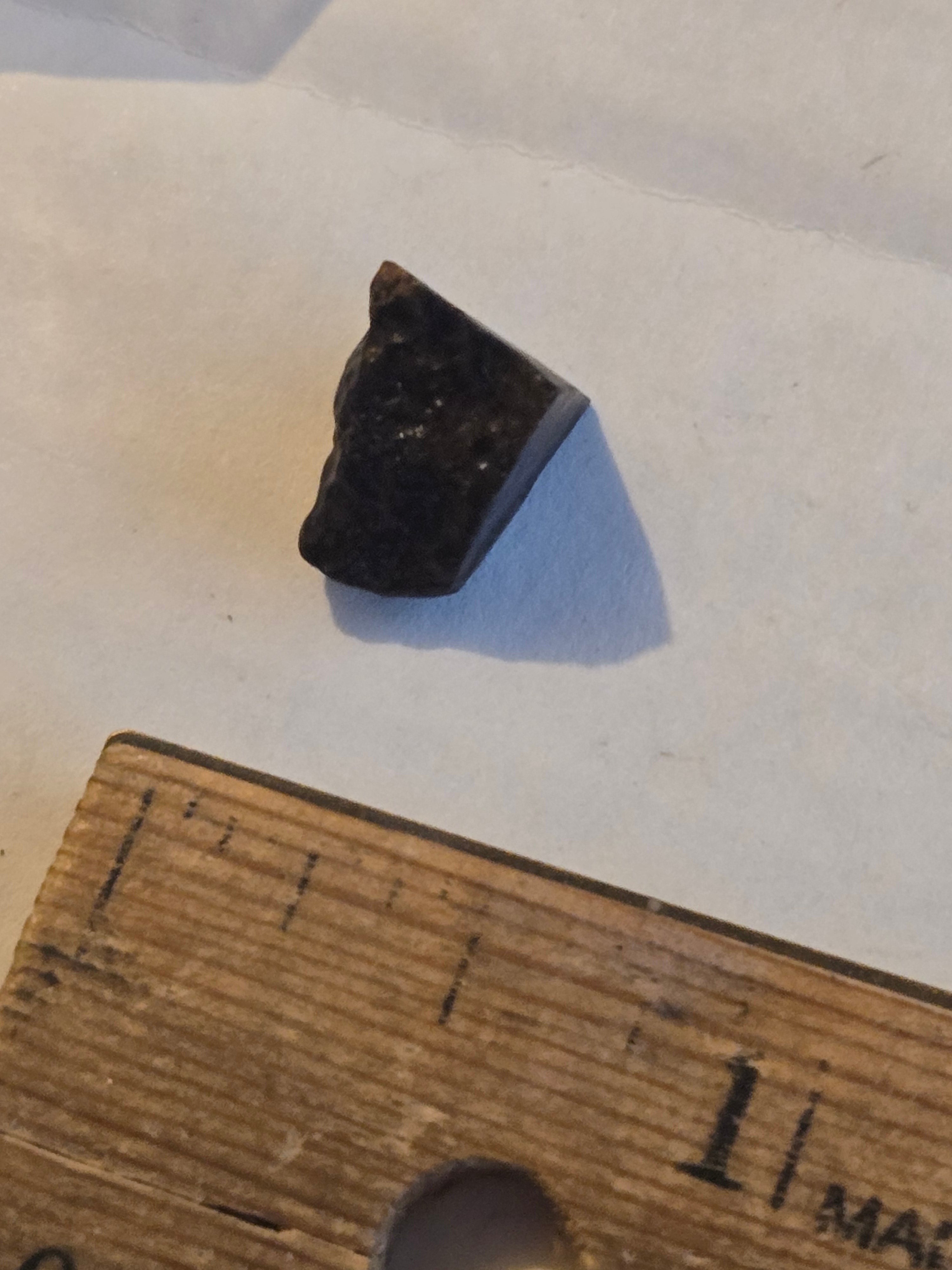 NWA 14359 meteorite