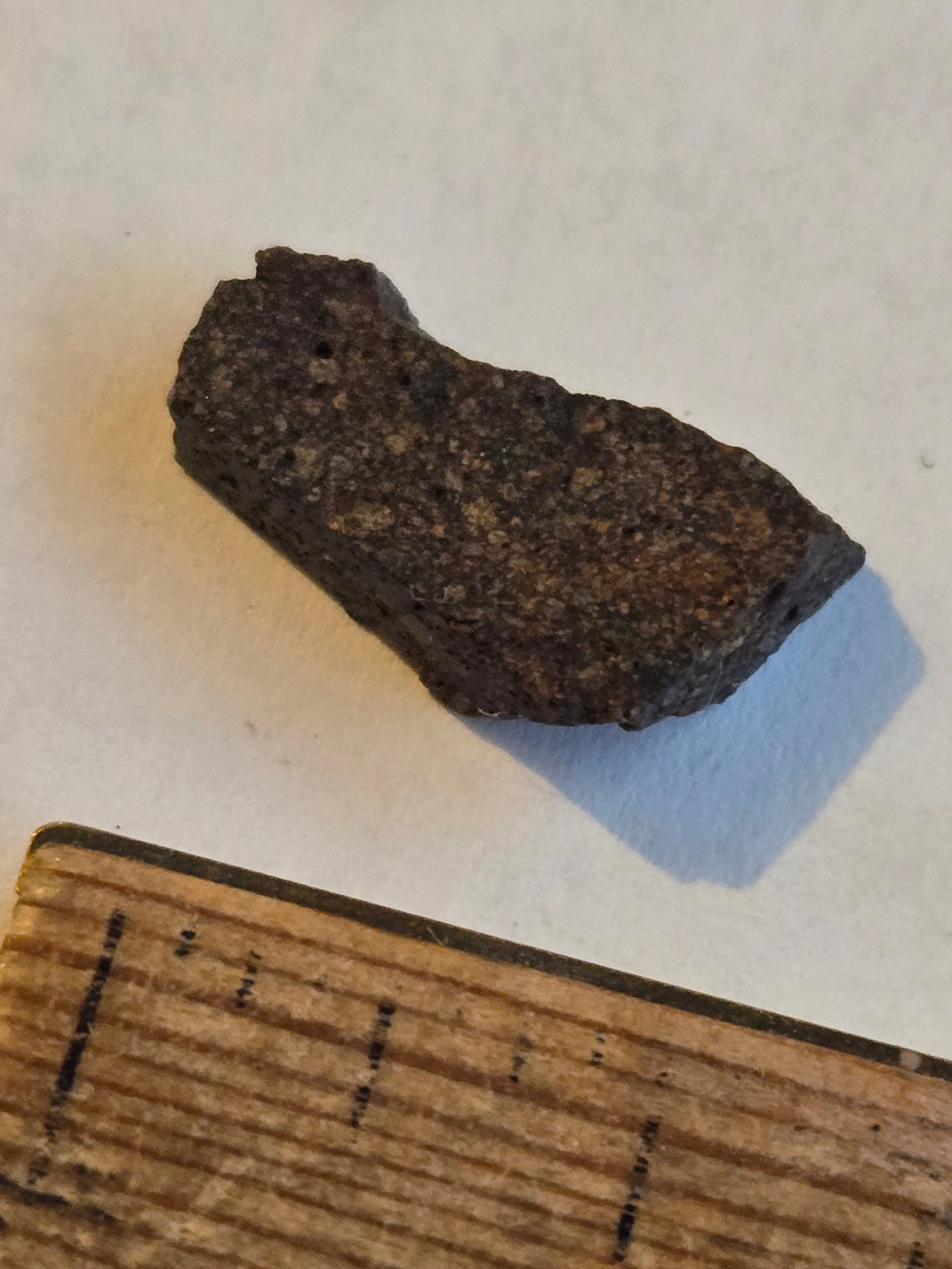 NWA 14397 meteorite
