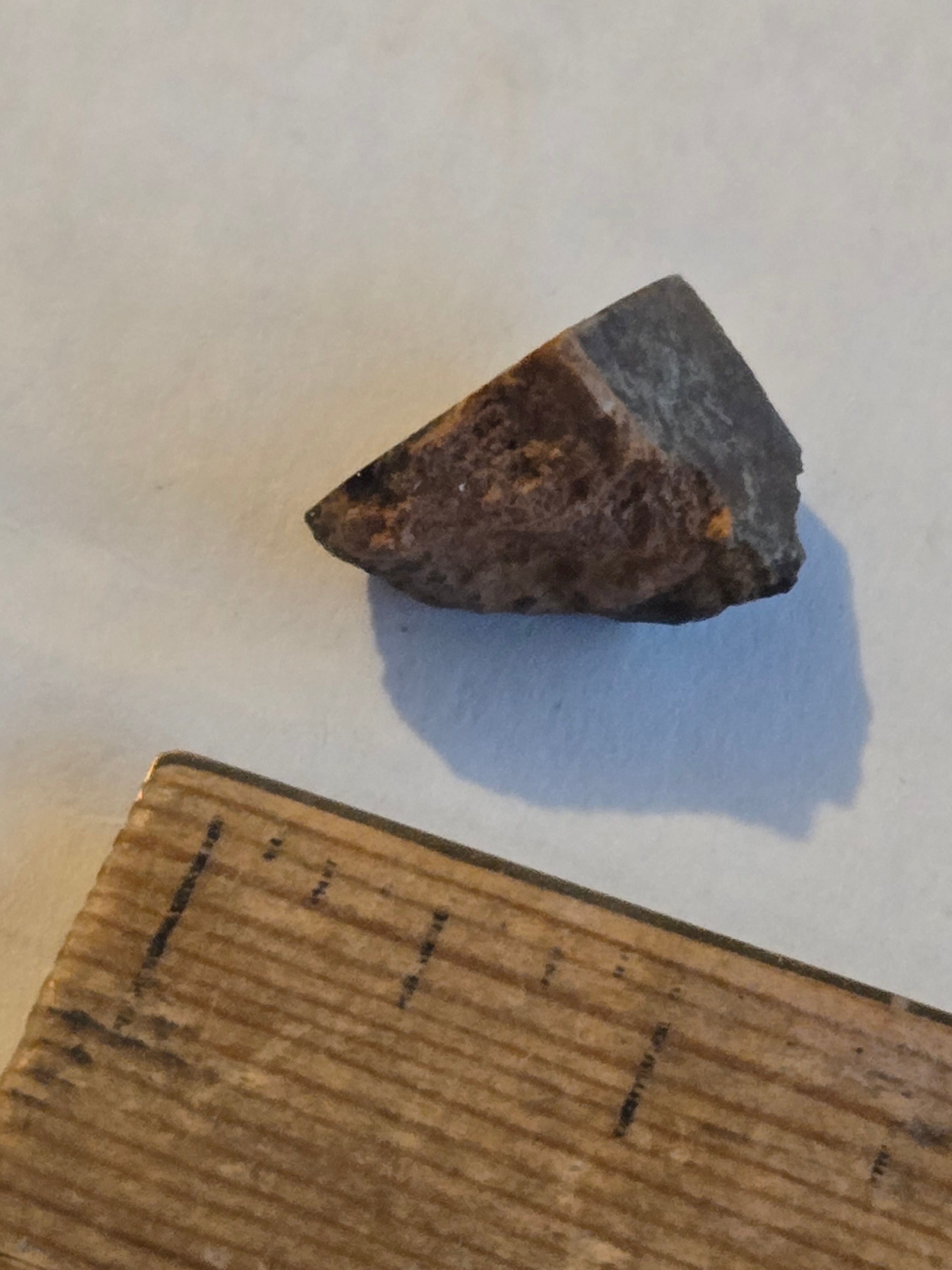 NWA 14402 meteorite
