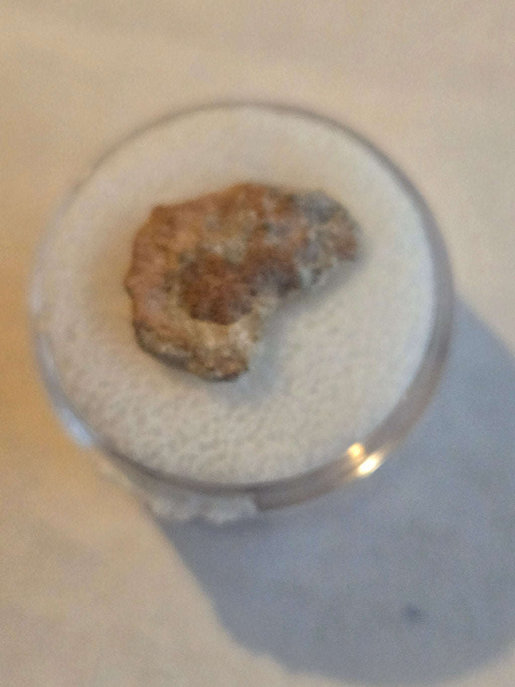 NWA 15373 lunar frag meteorite