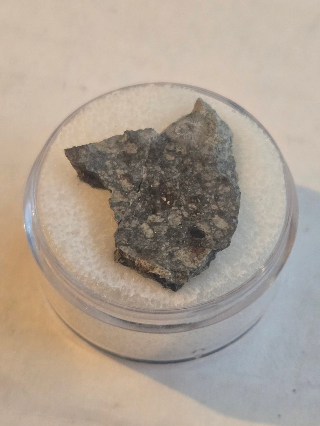 NWA 15376 meteorite