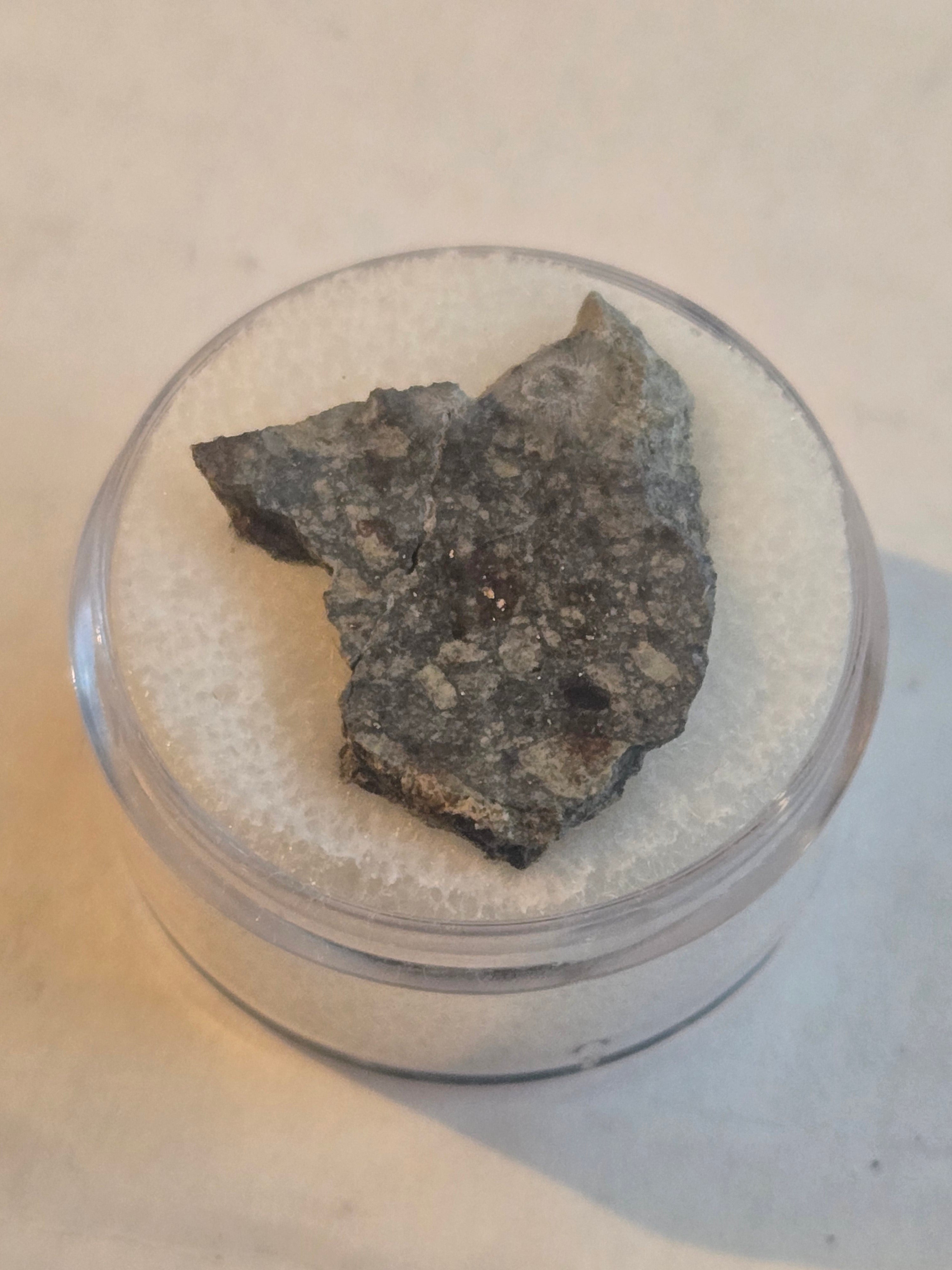 NWA 15376 meteorite