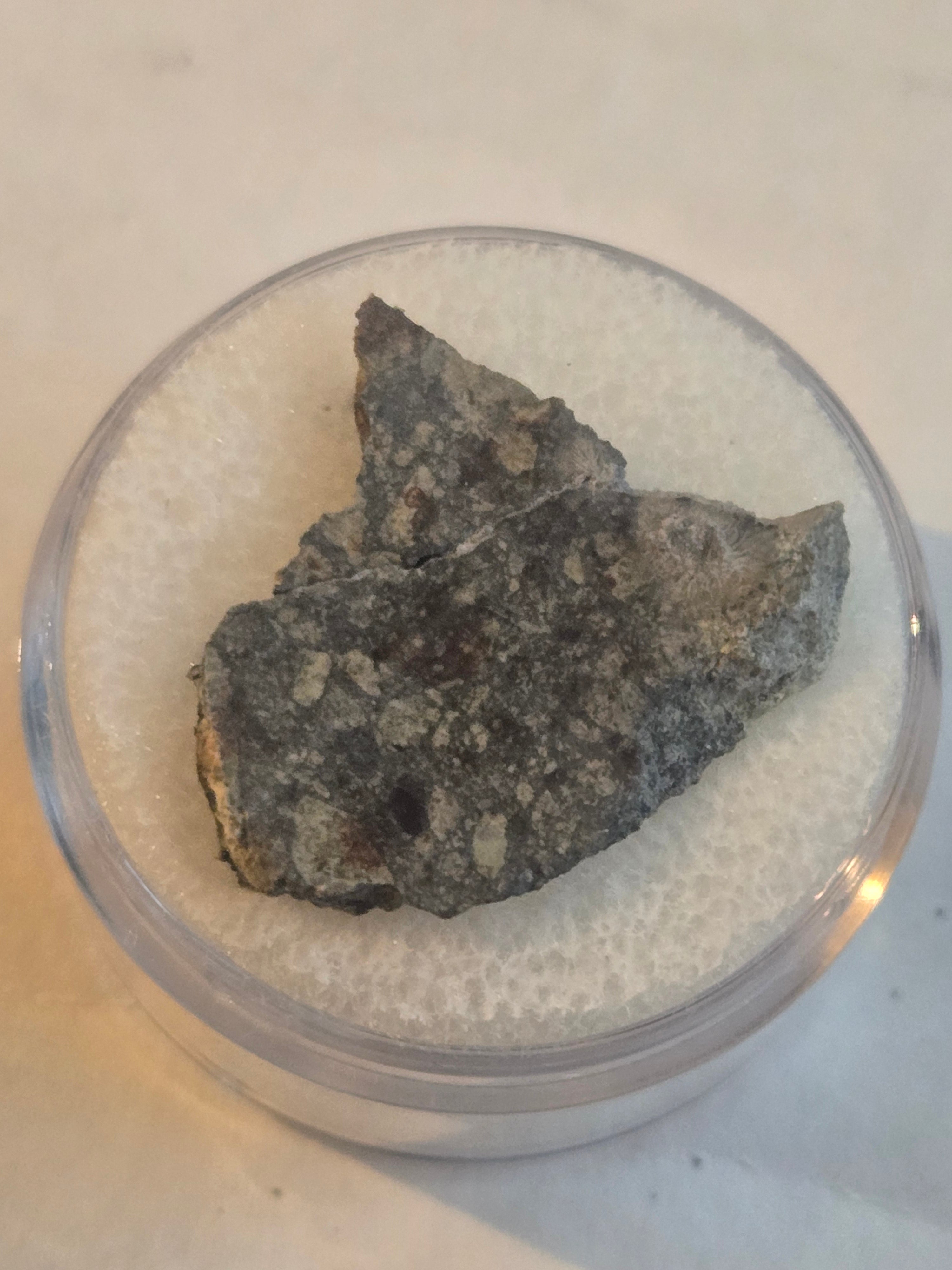 NWA 15376 meteorite