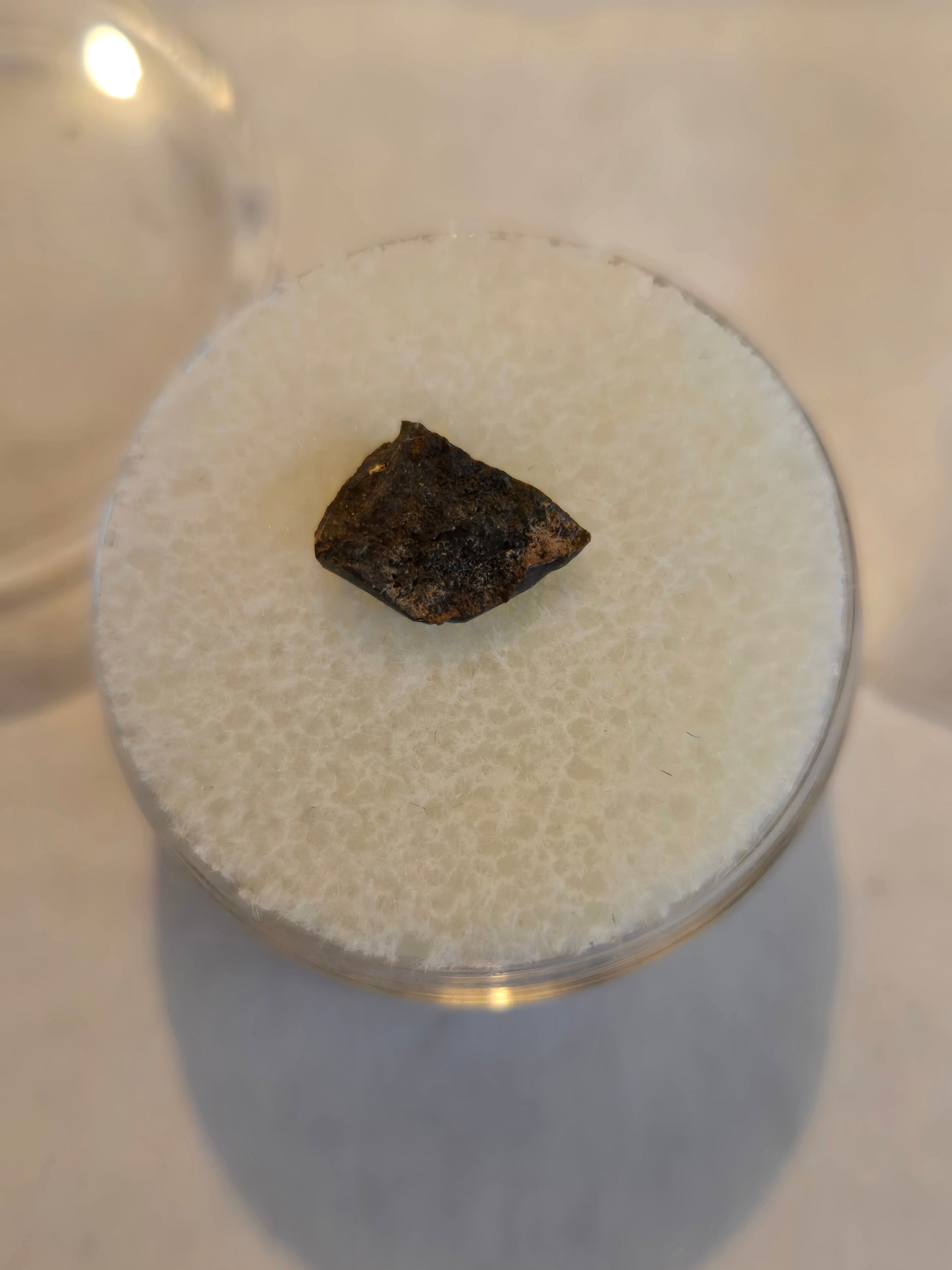 NWA 1572 meteorite