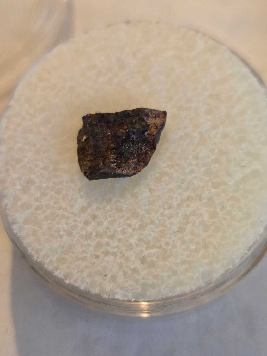 NWA 1572 meteorite