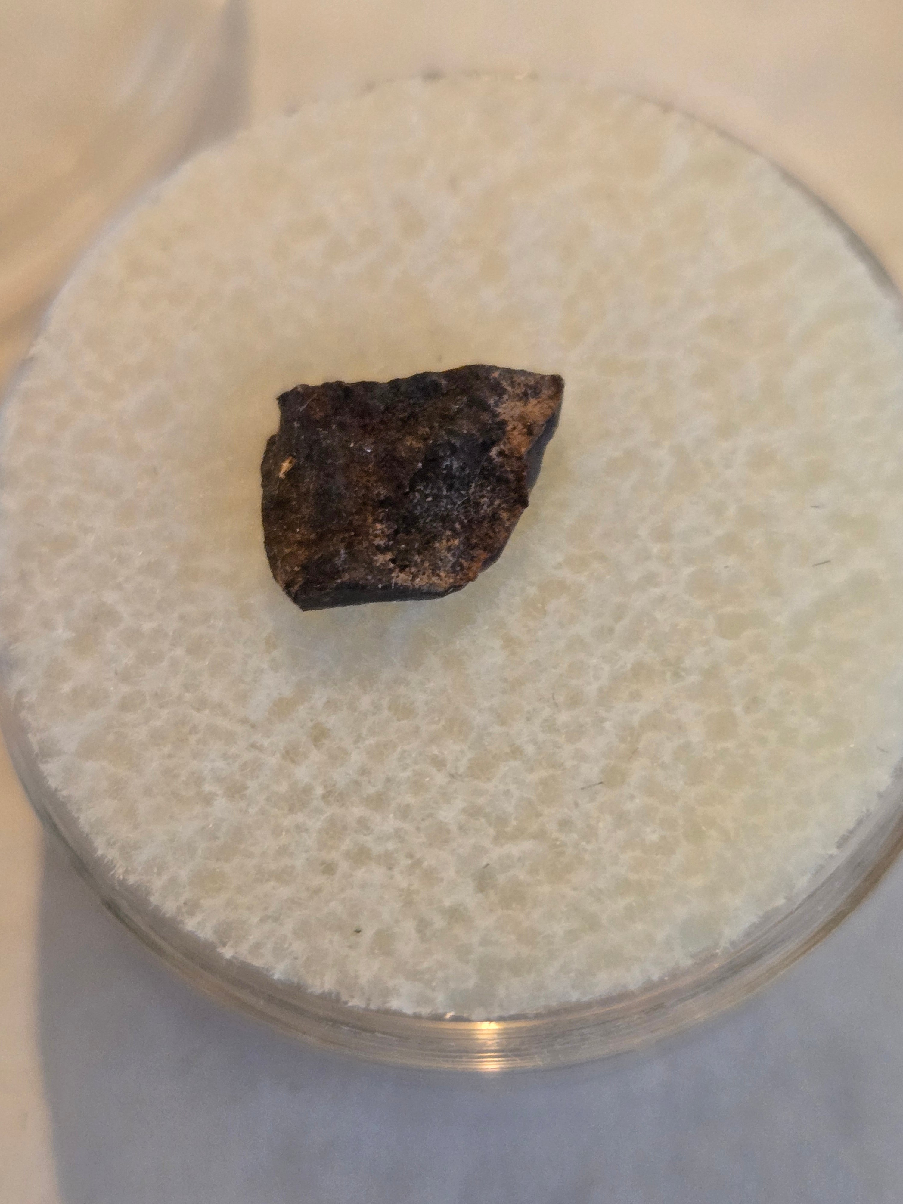 NWA 1572 meteorite