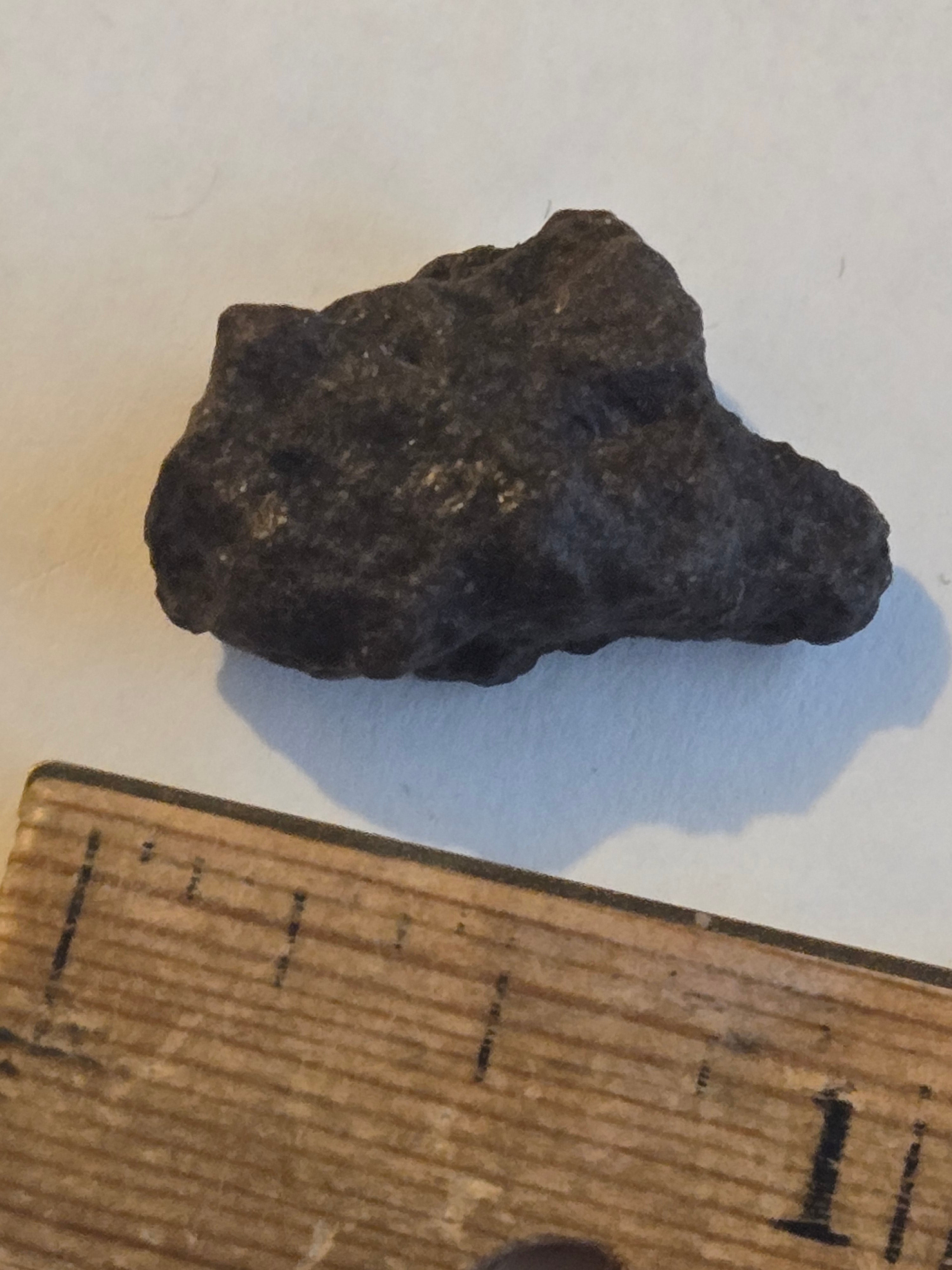 NWA 17XXX meteorite