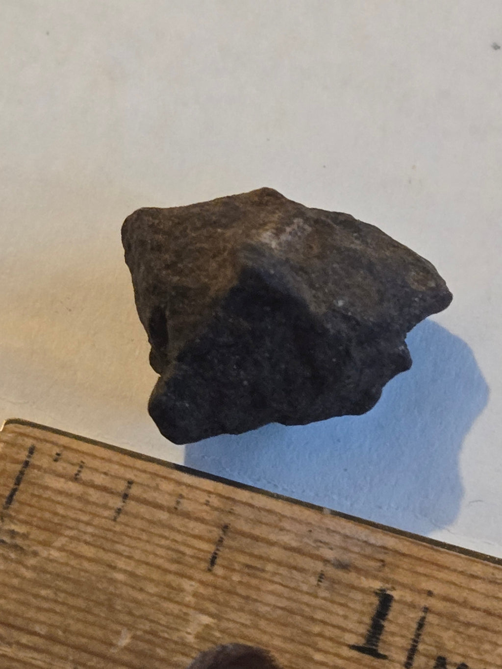 NWA 17XXX meteorite