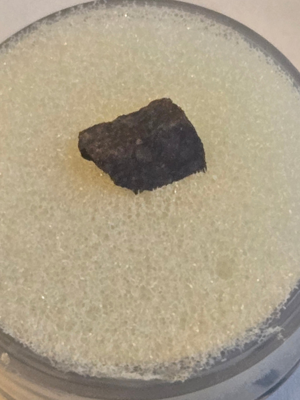 NWA 1930 meteorite specimen