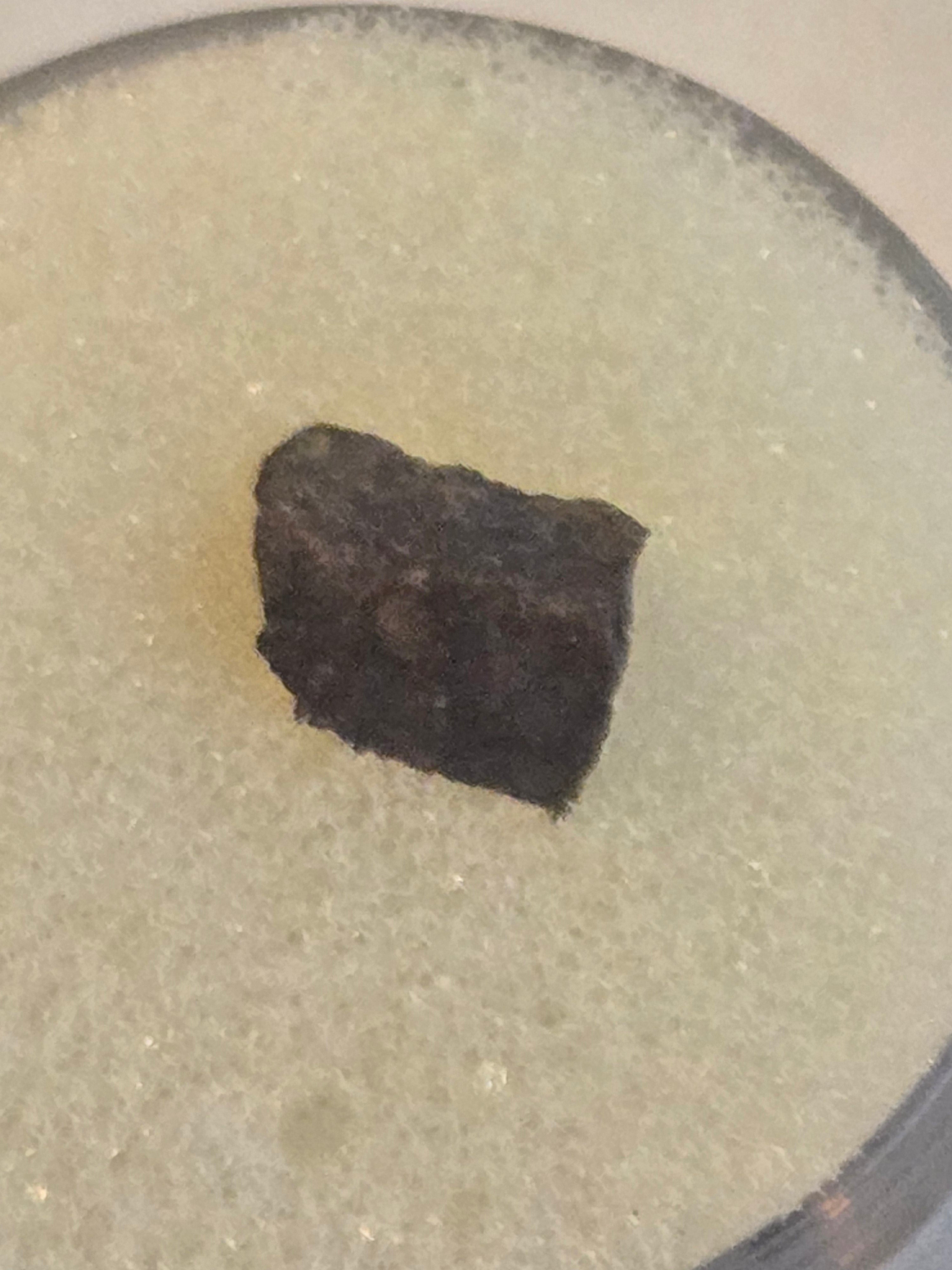 NWA 1930 meteorite specimen