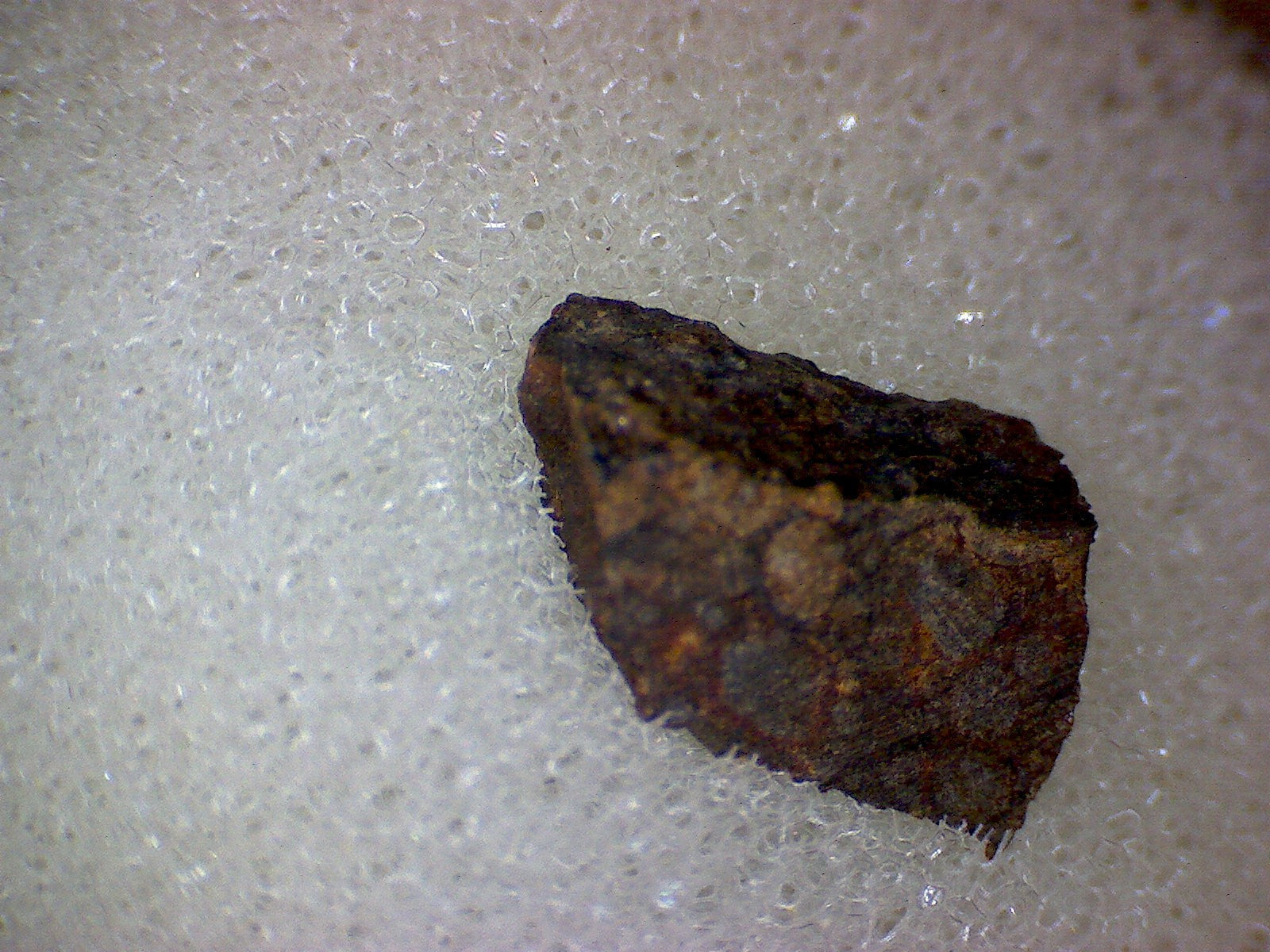 NWA 1930 meteorite specimen