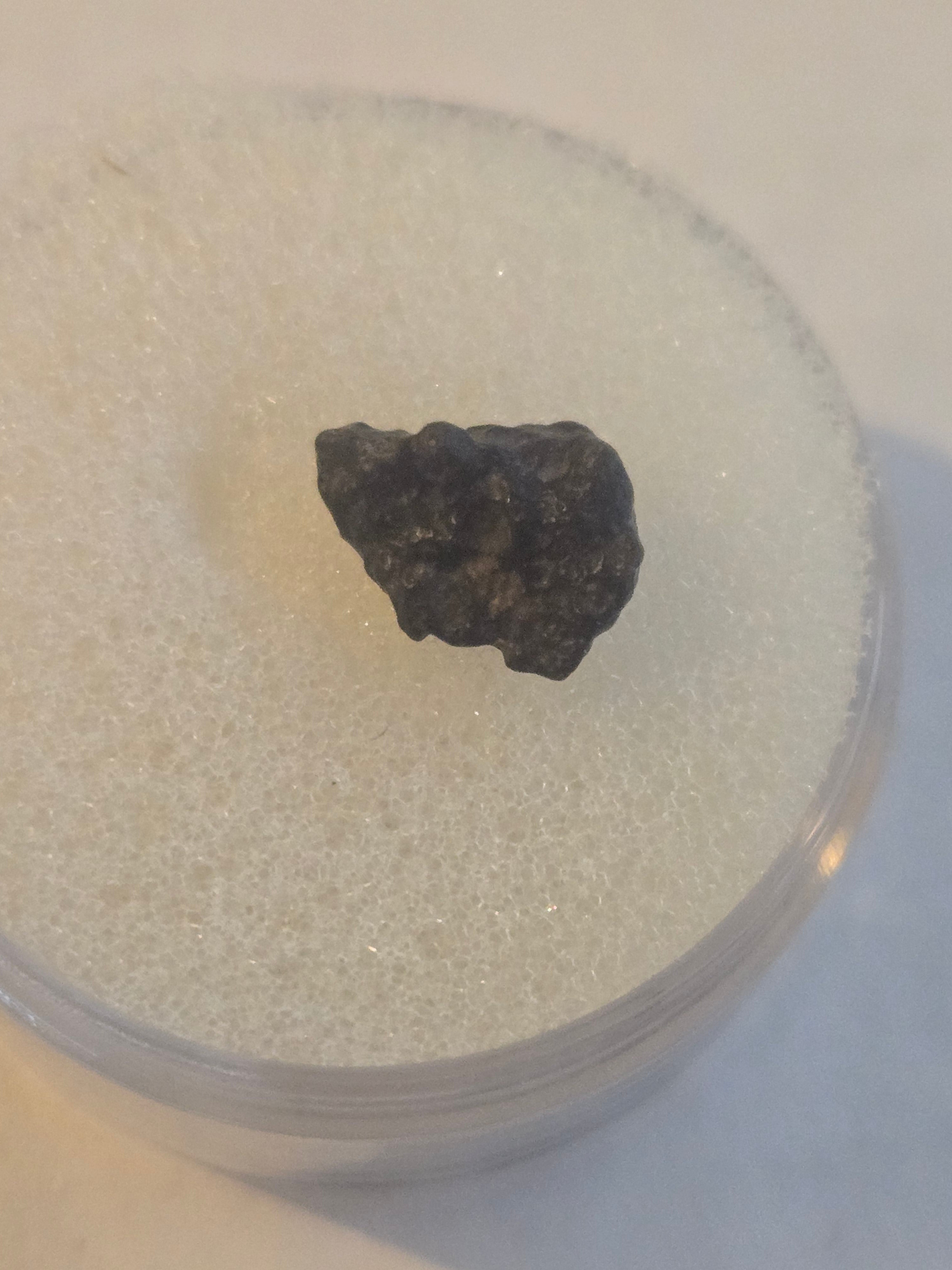 NWA 2086 meteorite specimen