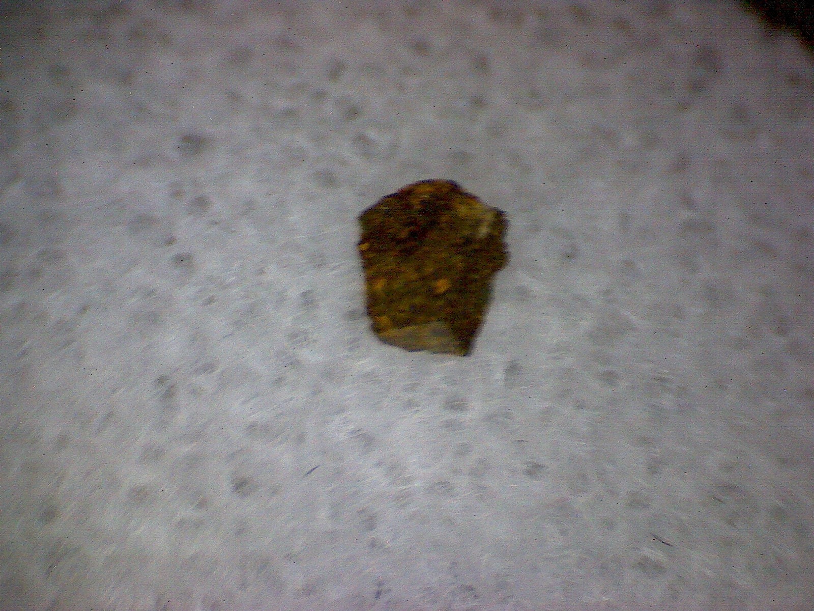 NWA 2822 Meteorite Specimen