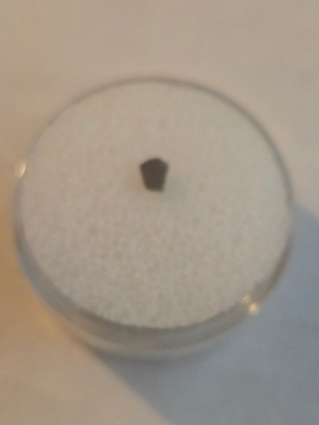 NWA 2822 Meteorite Specimen