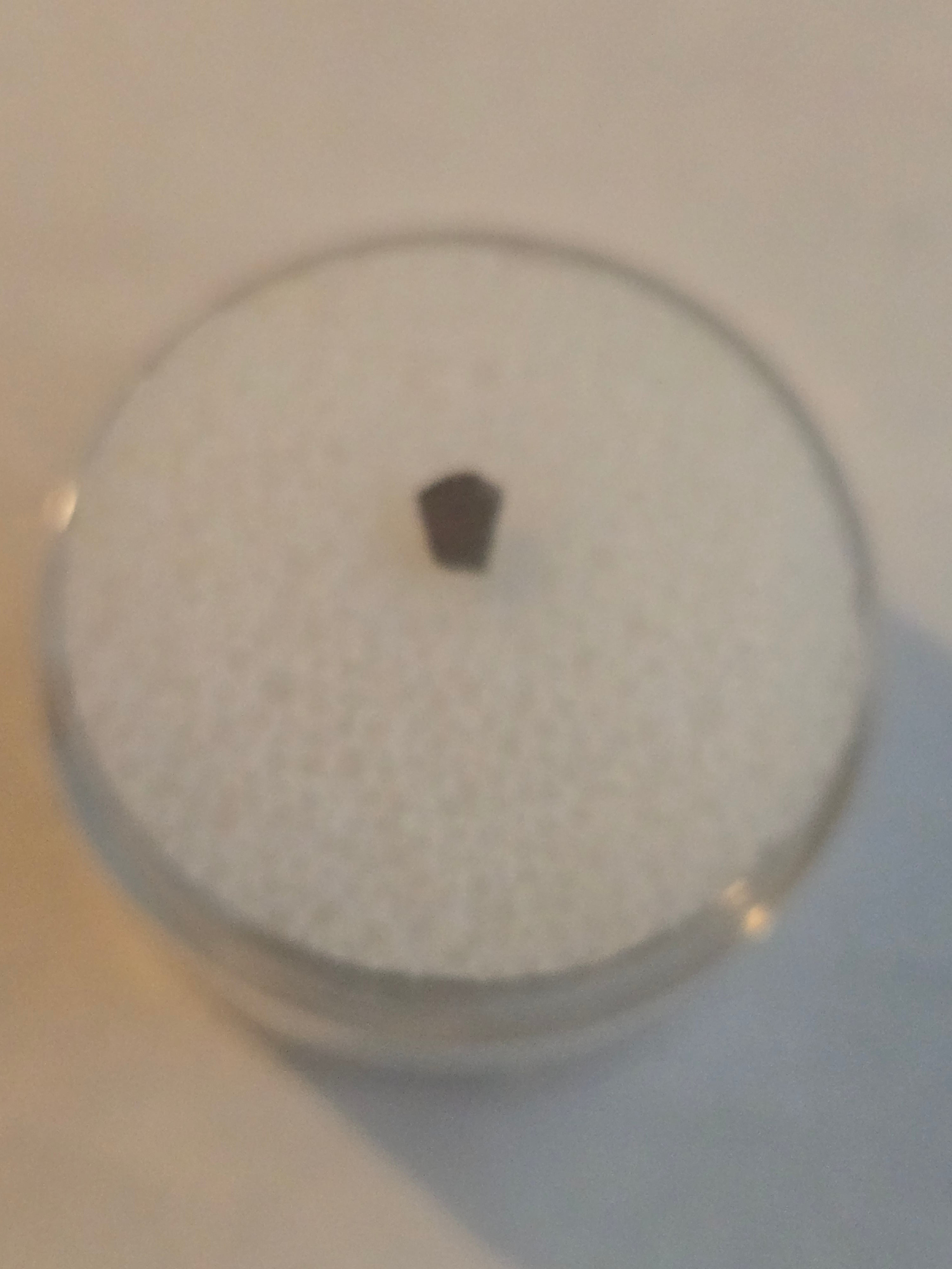NWA 2822 Meteorite Specimen