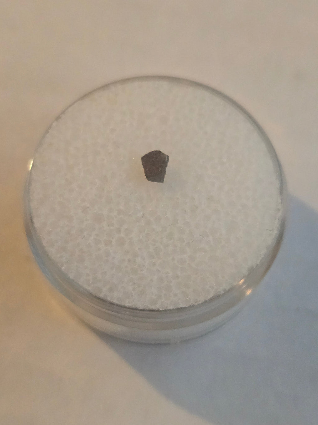 NWA 2822 Meteorite Specimen